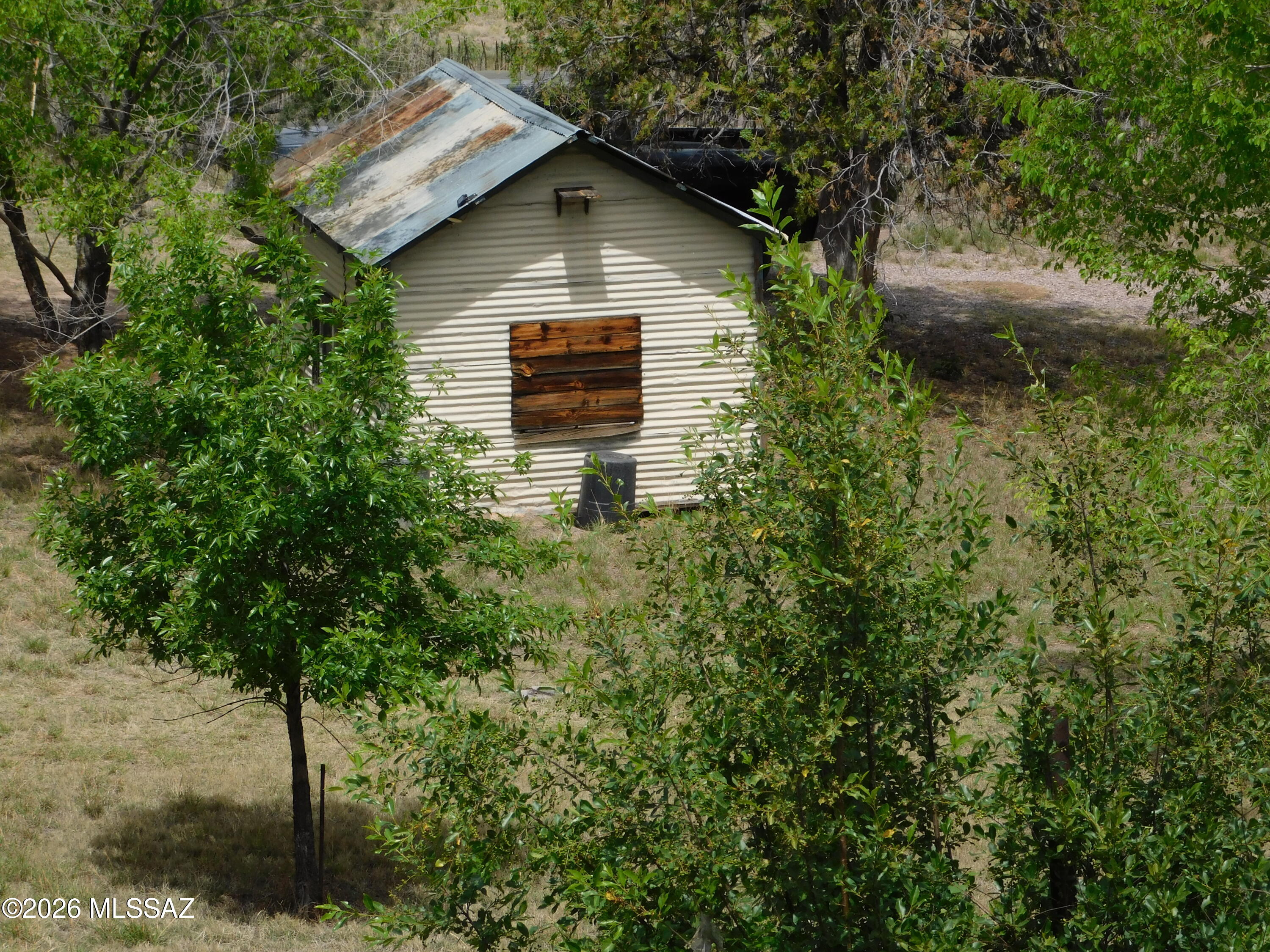 Out Of Pima County - Farm