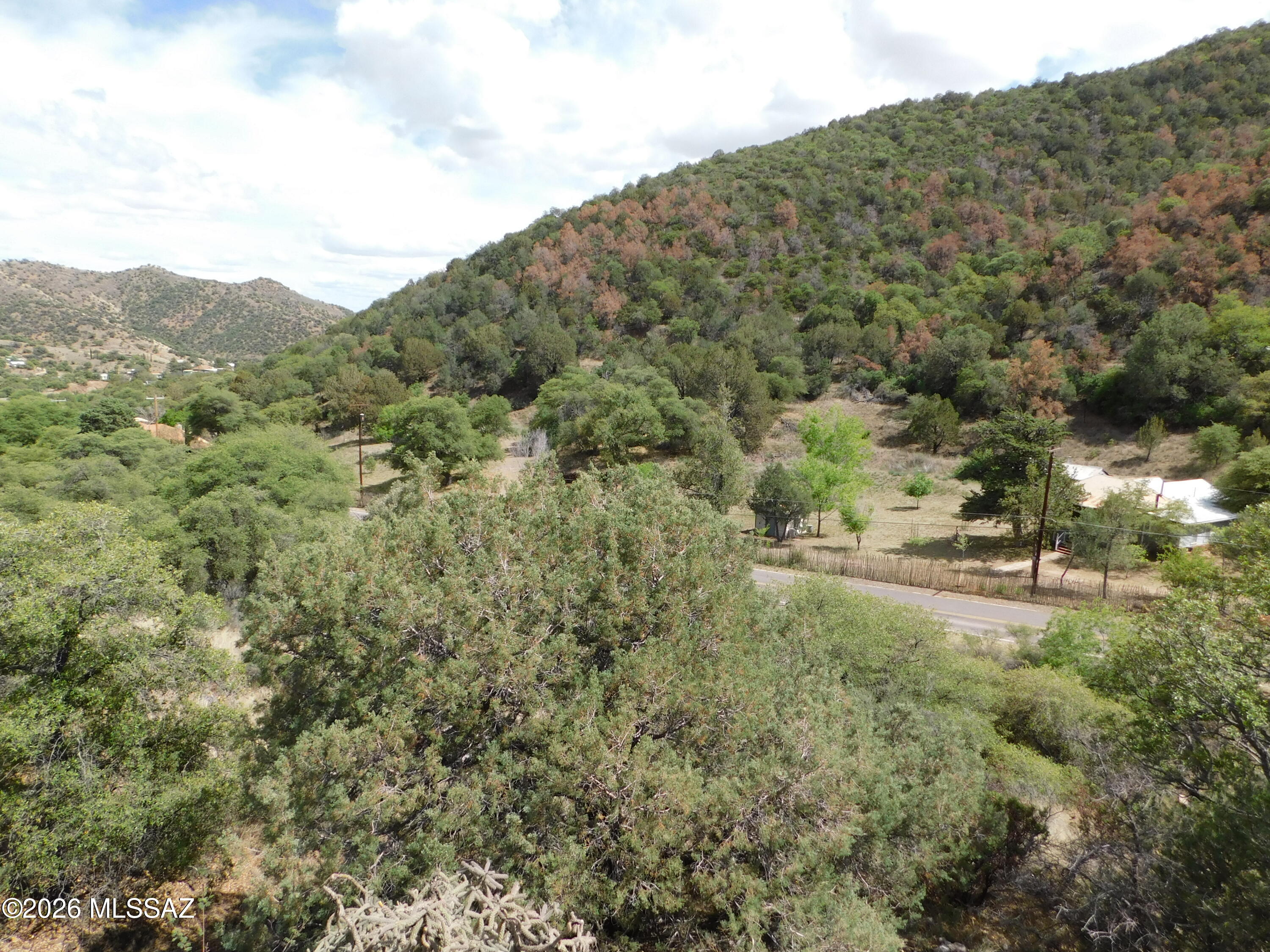 Out Of Pima County - Farm
