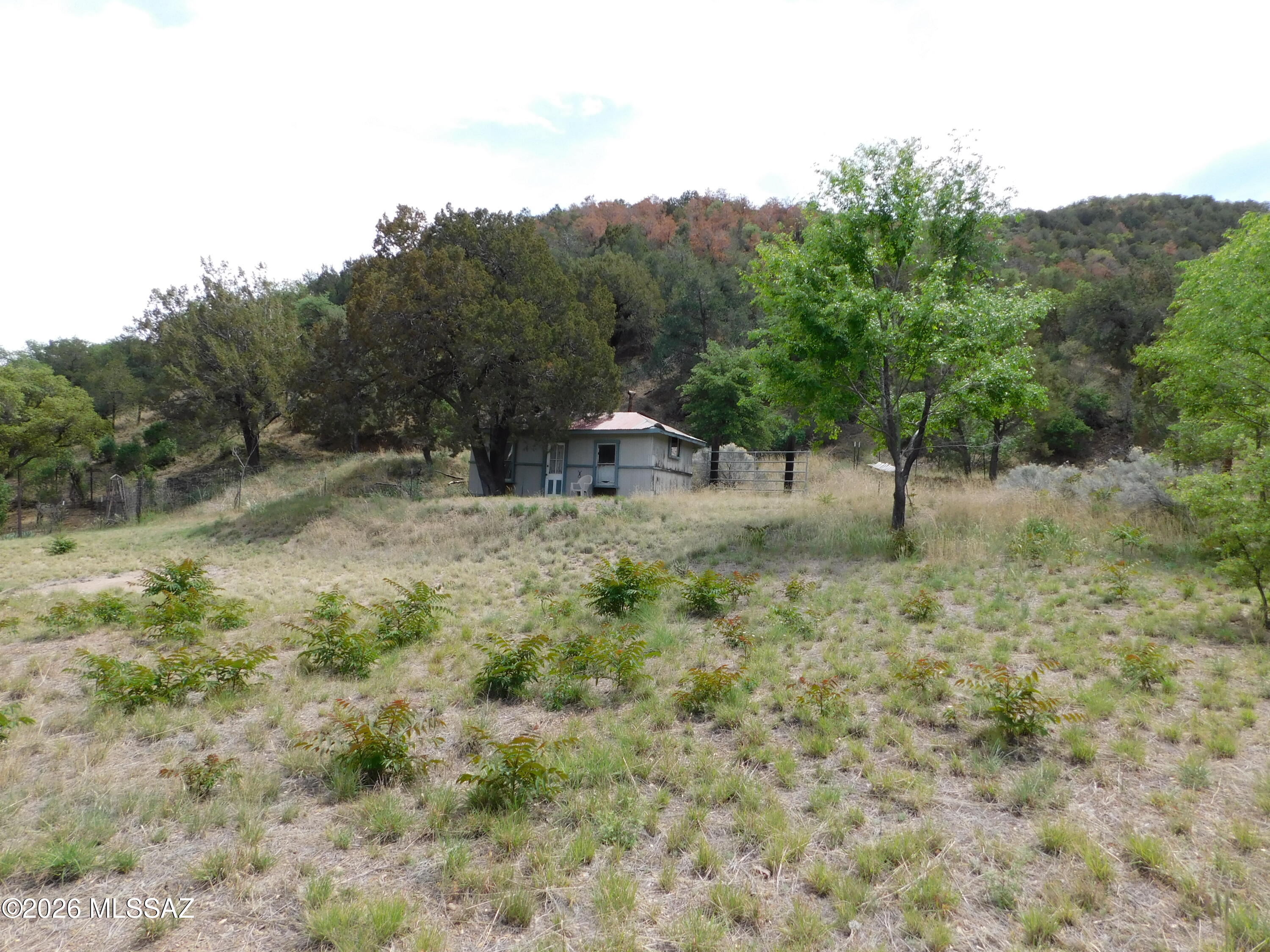 Out Of Pima County - Farm