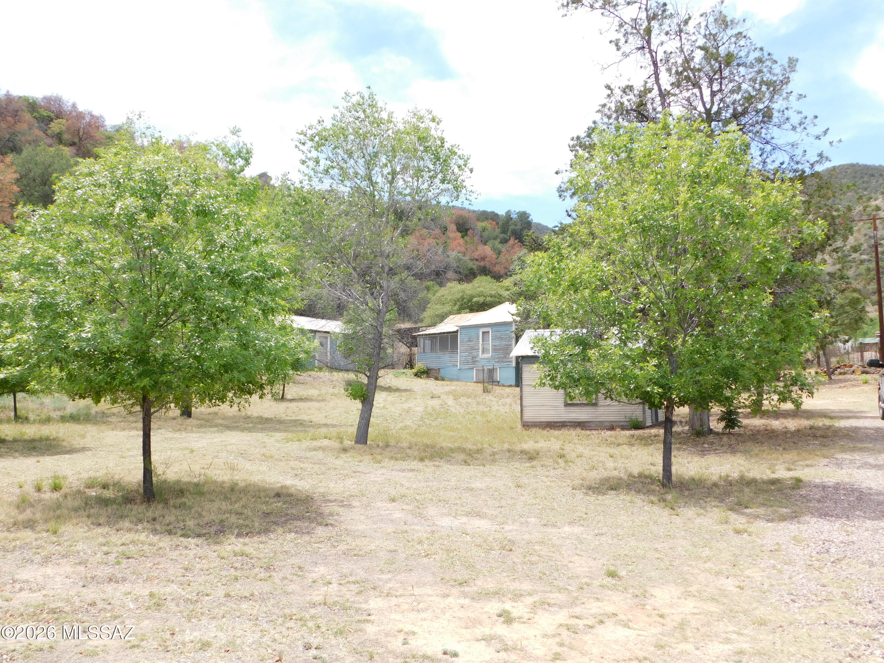 Out Of Pima County - Farm