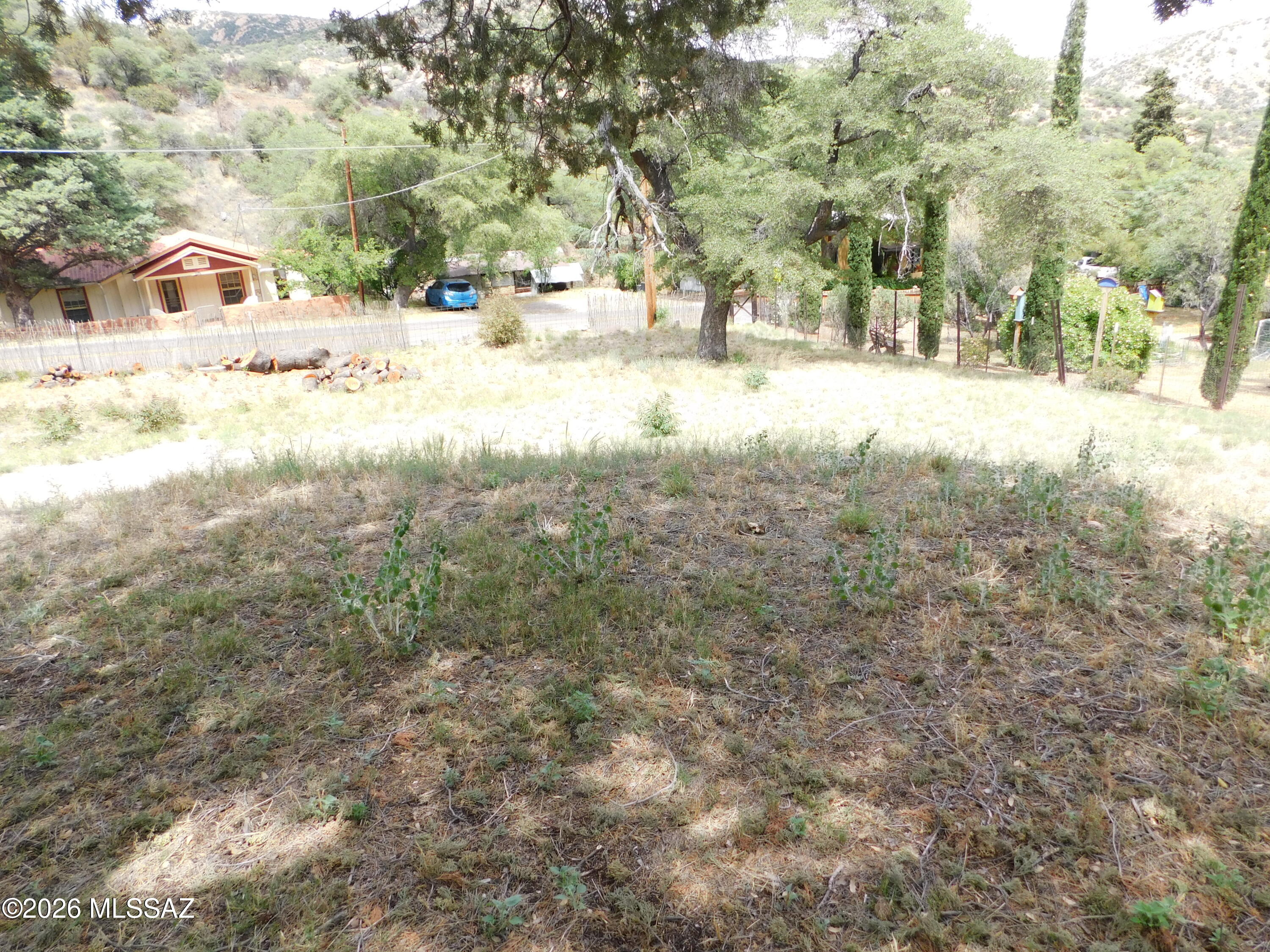 Out Of Pima County - Farm