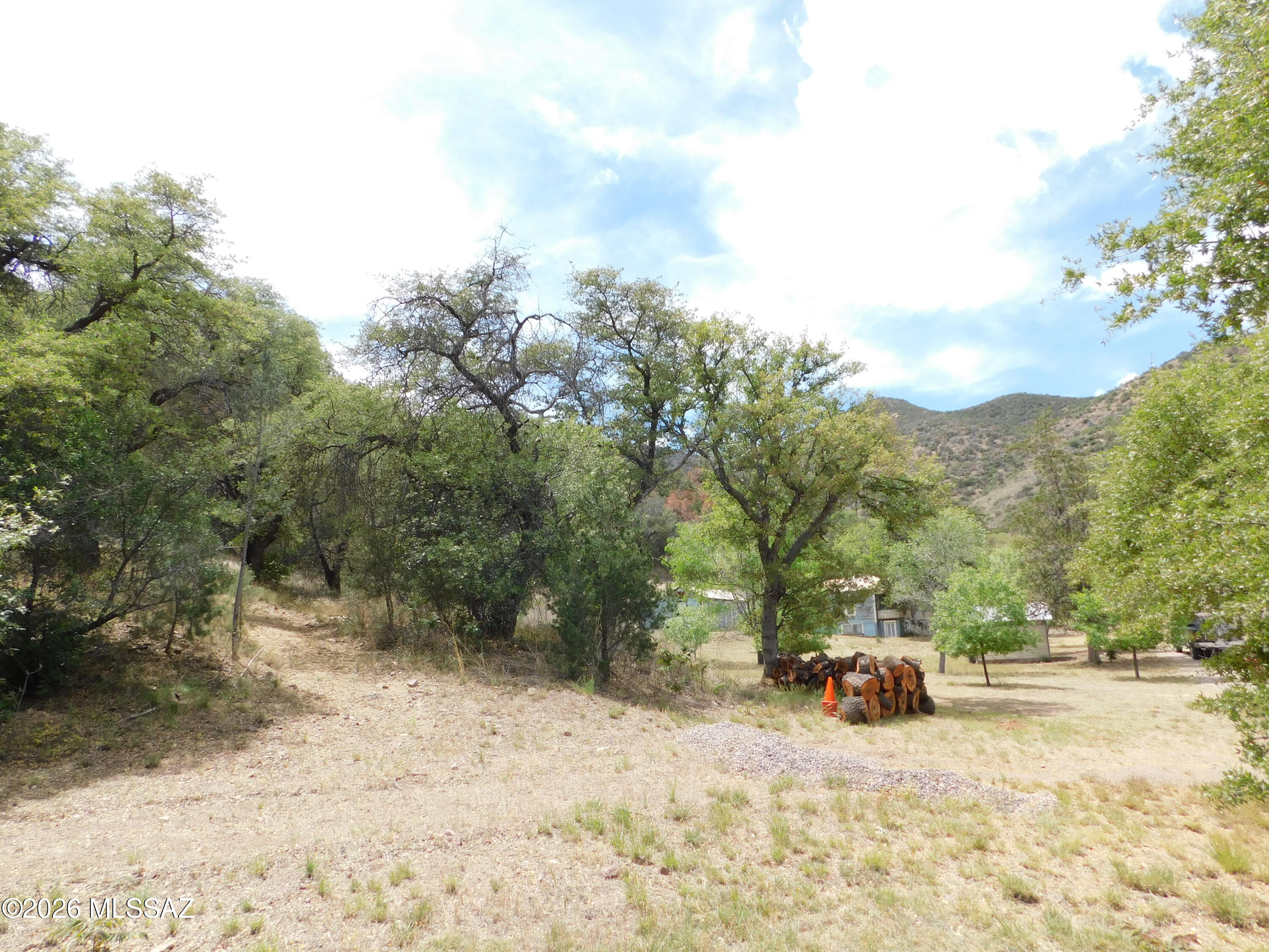 Out Of Pima County - Farm