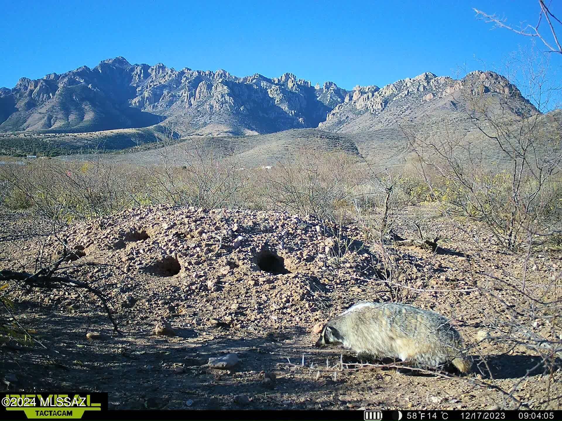 Out Of Pima County - Land