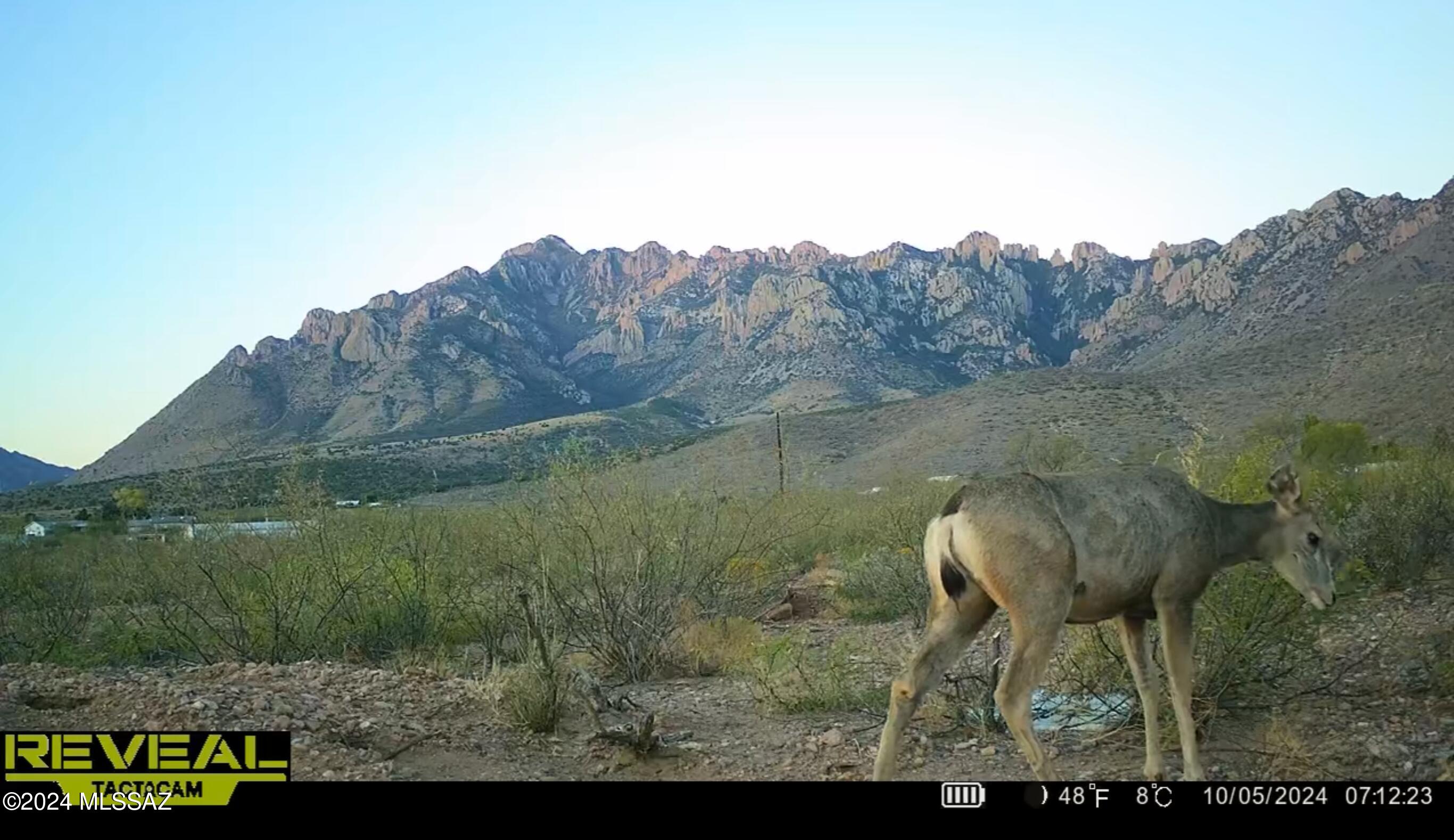 Out Of Pima County - Land