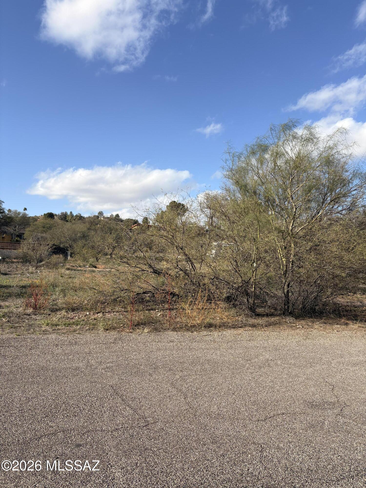 Rio Rico Estates 3 - Land