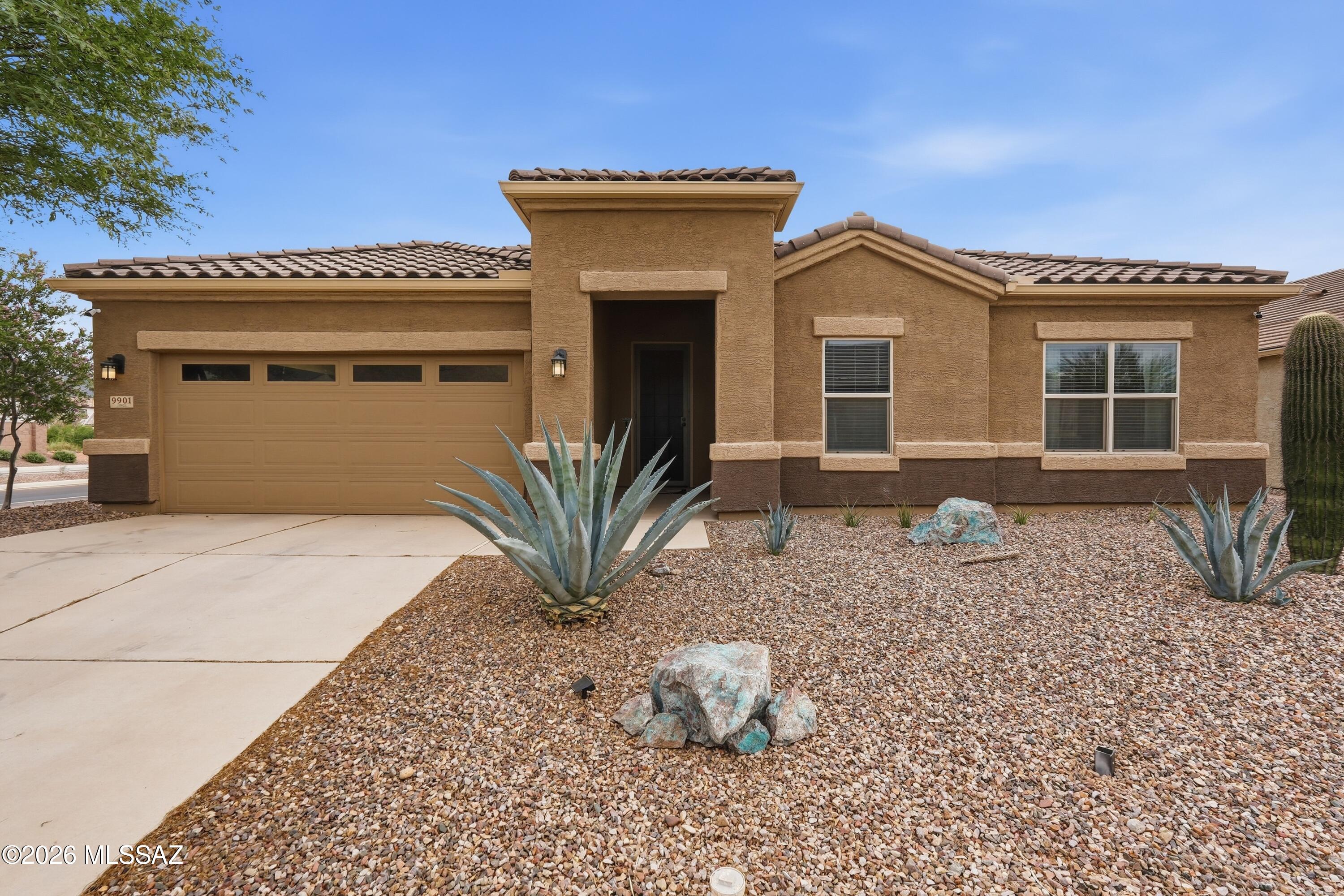 Saguaro Bloom 7A - Residential