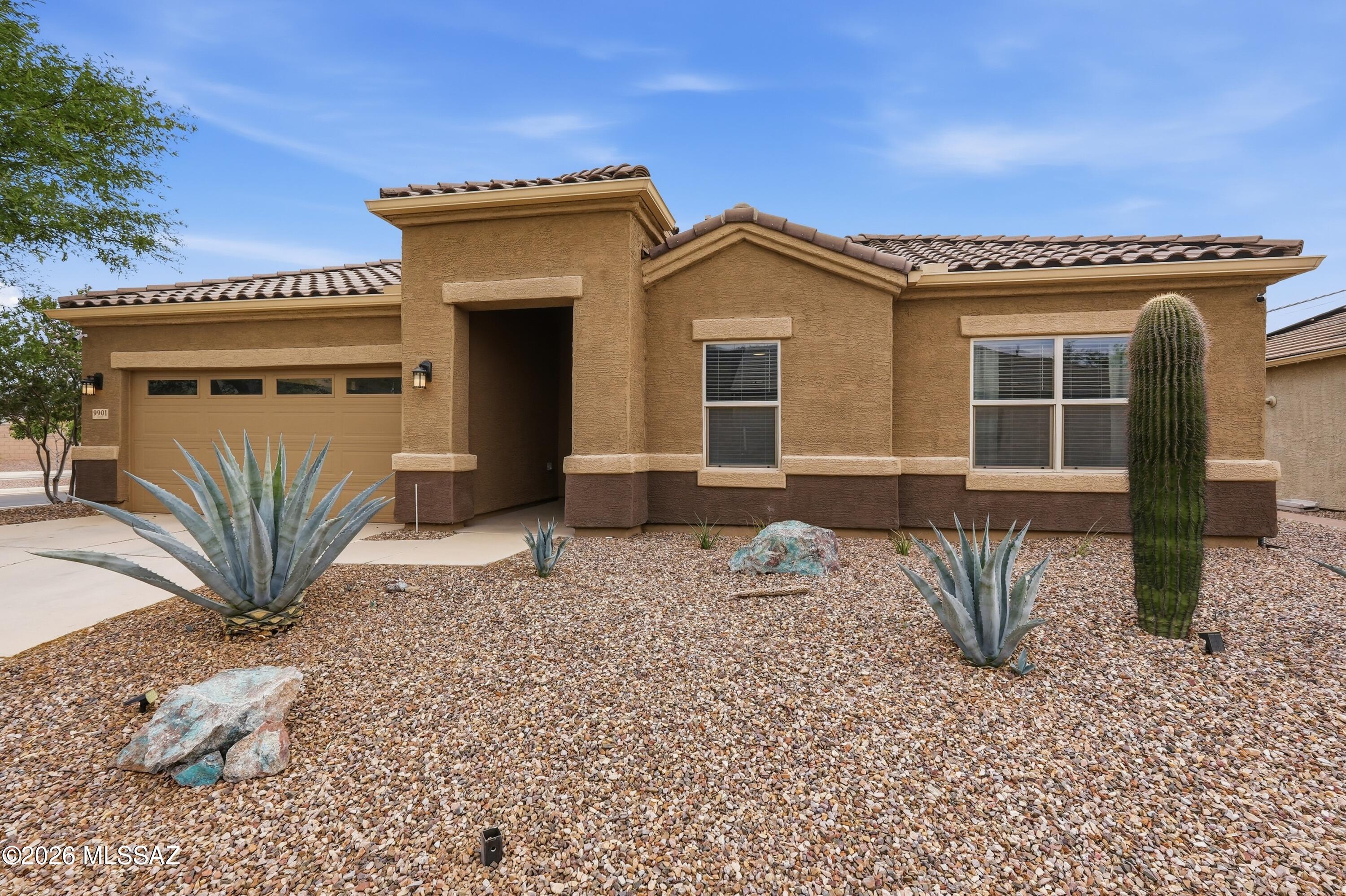 Saguaro Bloom 7A - Residential