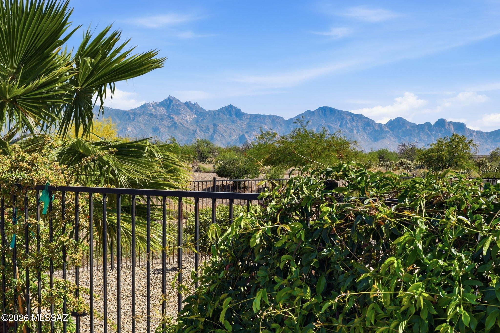 Saddlebrooke Ranch - Residential
