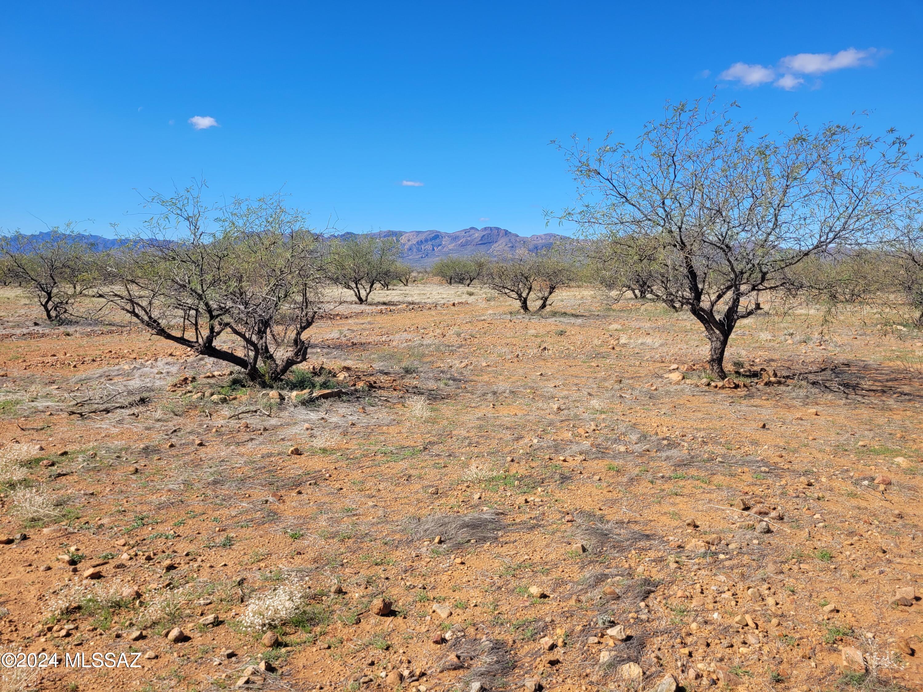 Tubac Foothills Ranch - Land