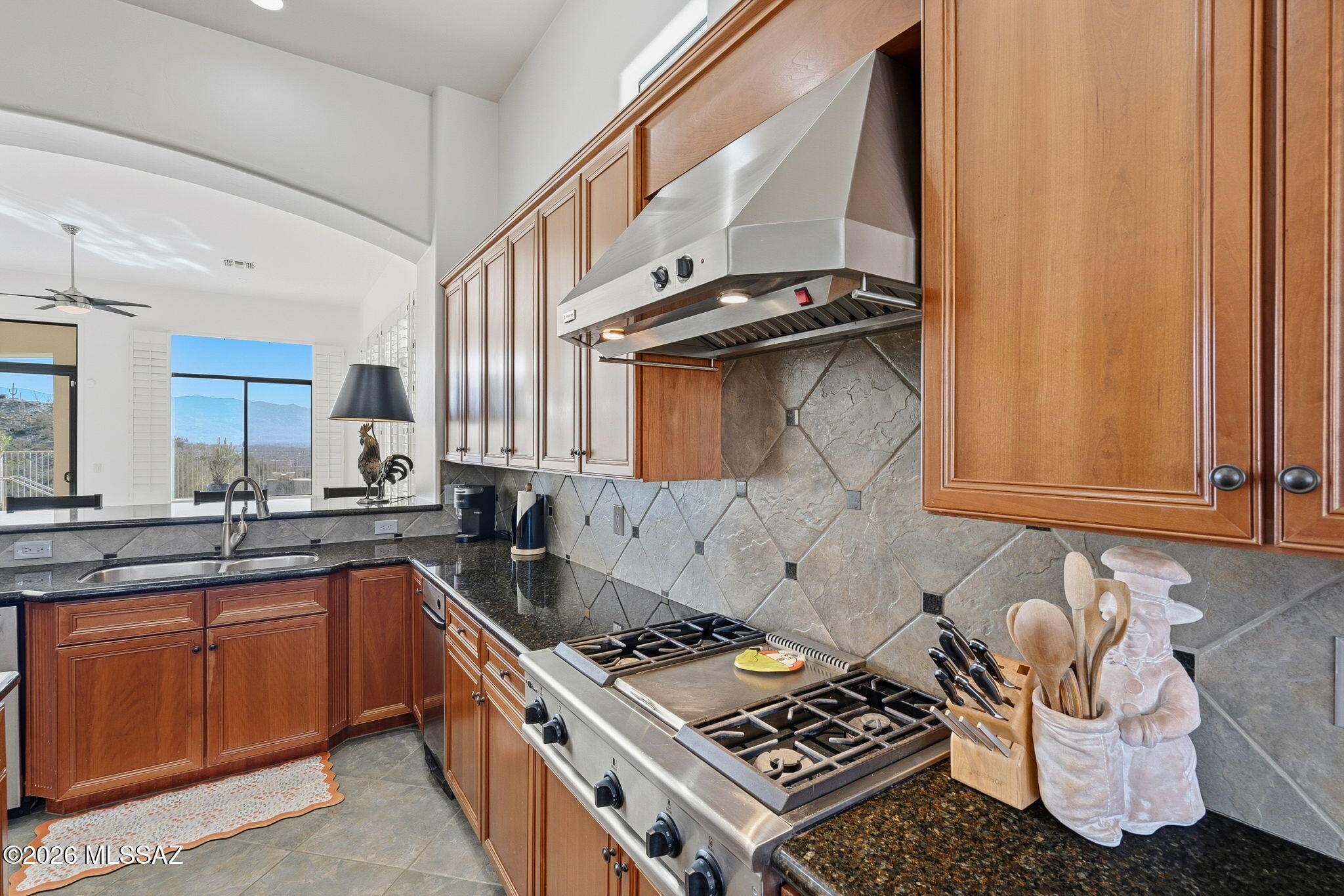Sabino Mountain (1-290) - Residential