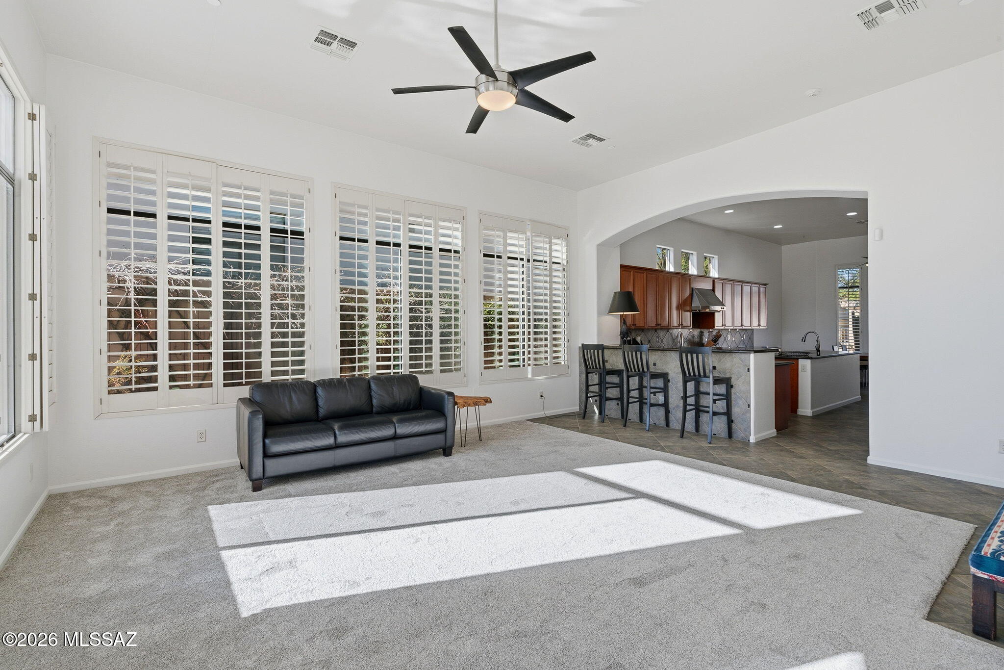 Sabino Mountain (1-290) - Residential