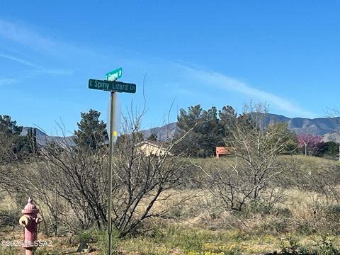 E Geneva Street 1 Pearce AZ 85625