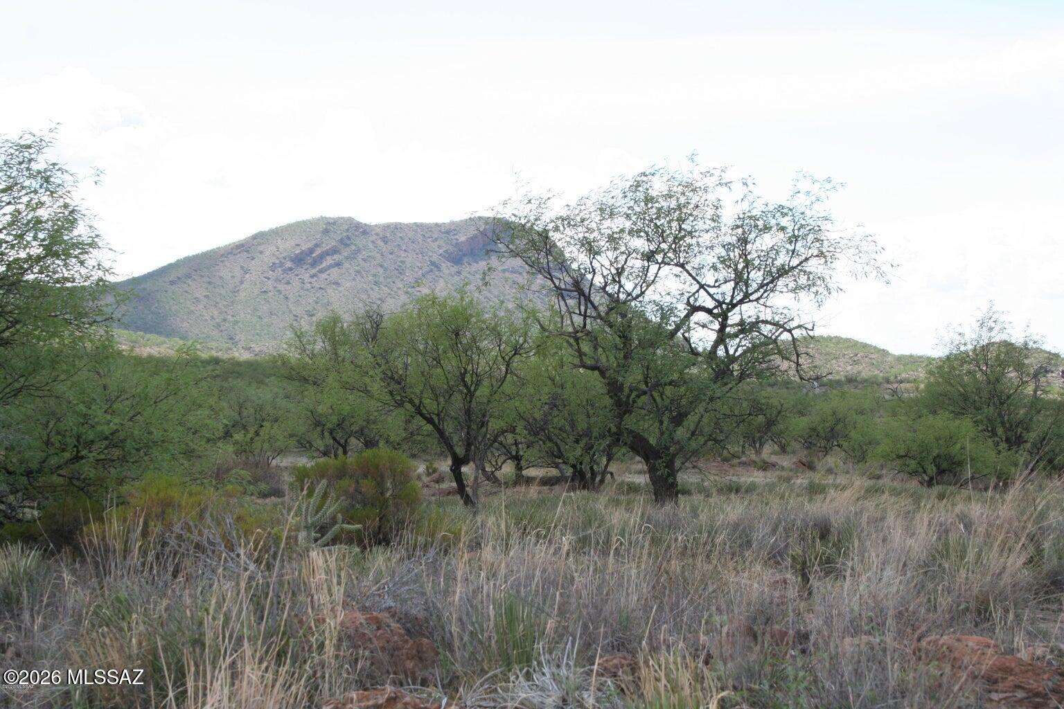 Morning Star Ranch - Land
