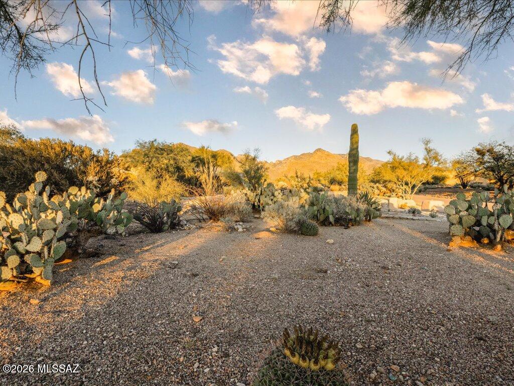 7330 N Michelle Place