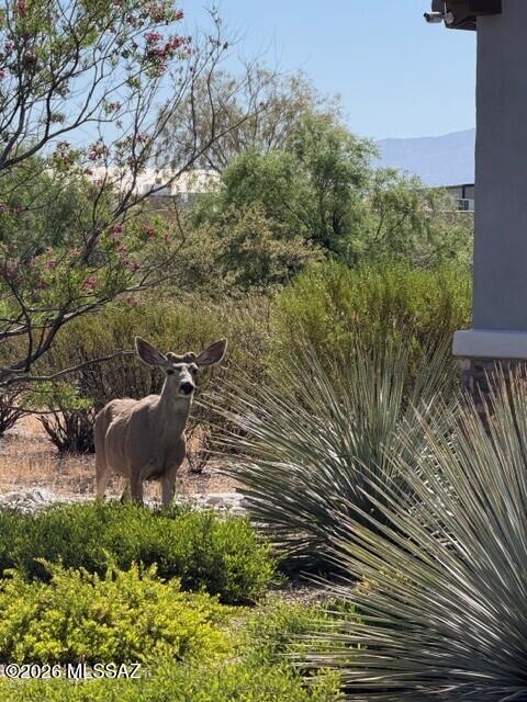 Molino Canyon Estates 1-11 - Residential