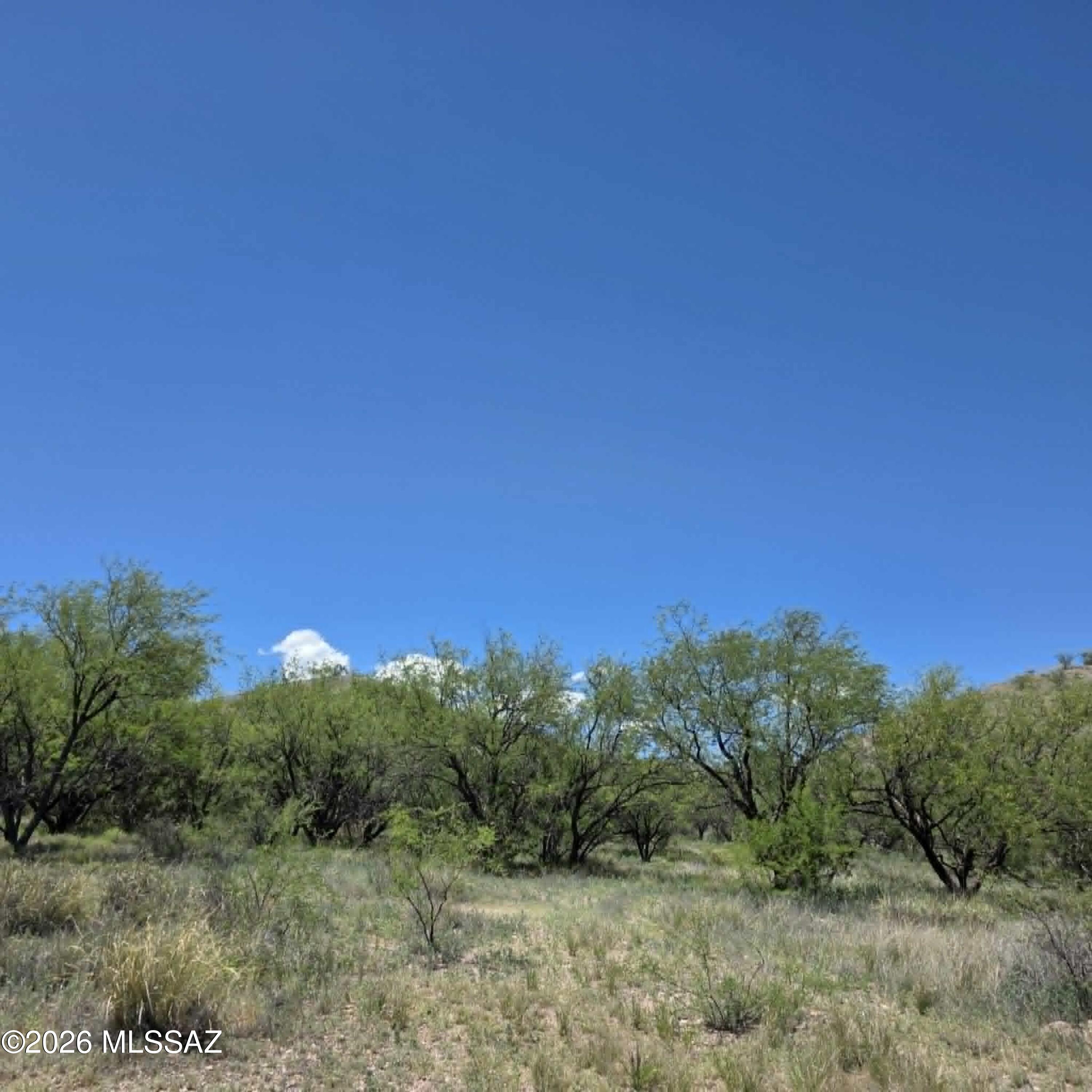 Stevens Canyon Ranch - Land