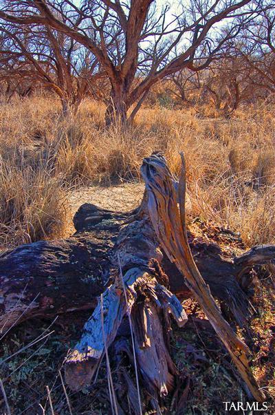 Redrock Acres - Land