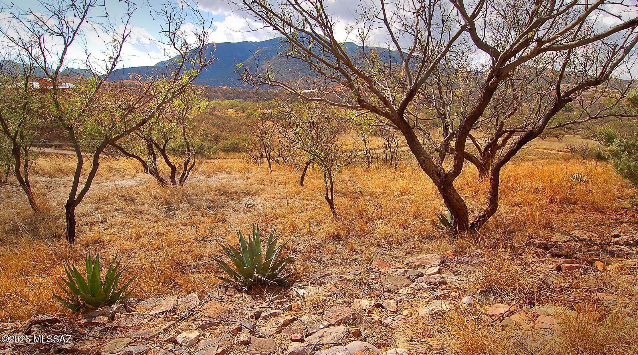 Redrock Acres - Land