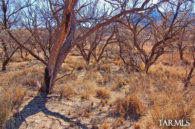 Redrock Acres - Land