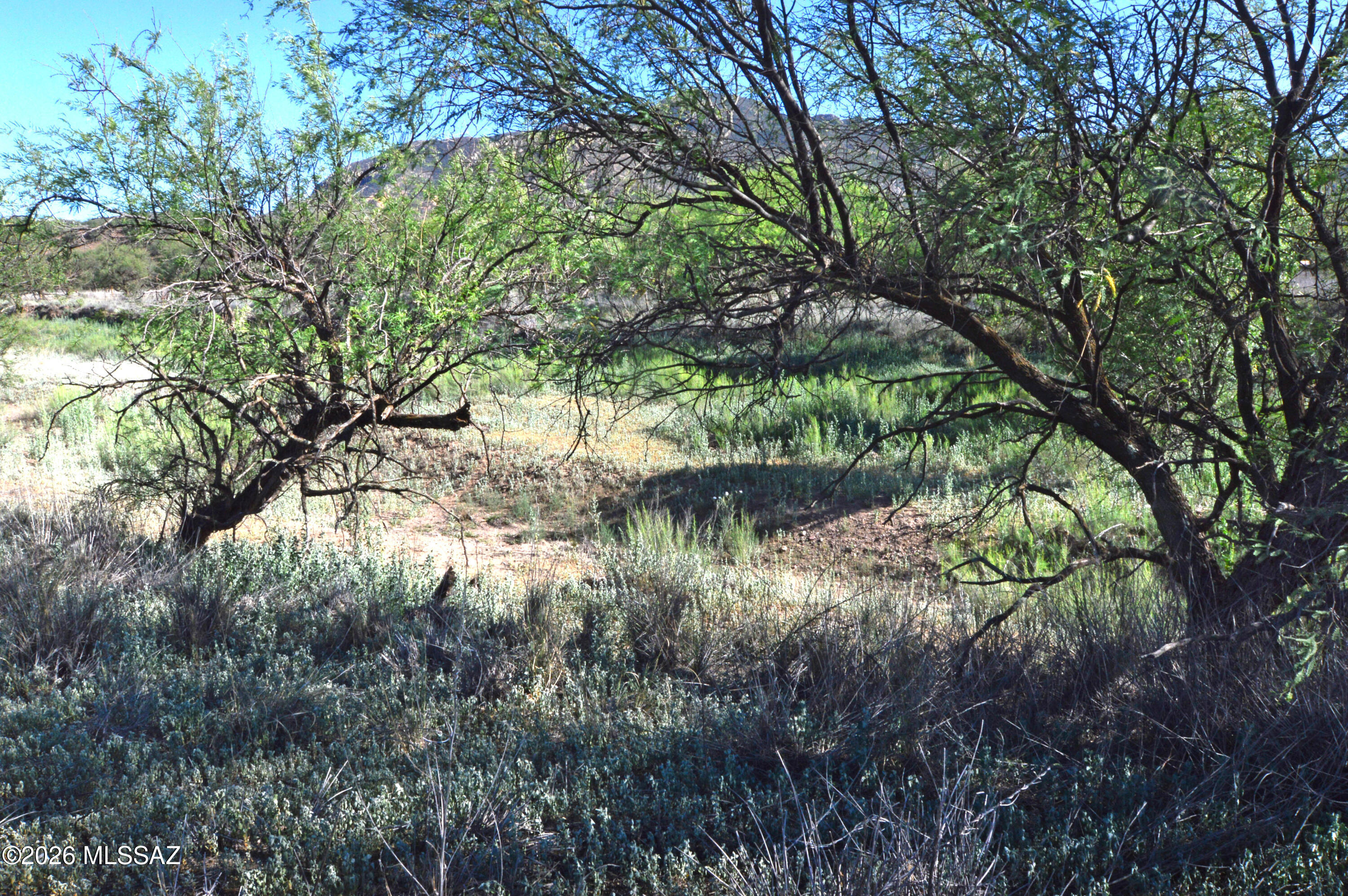 Redrock Acres - Land