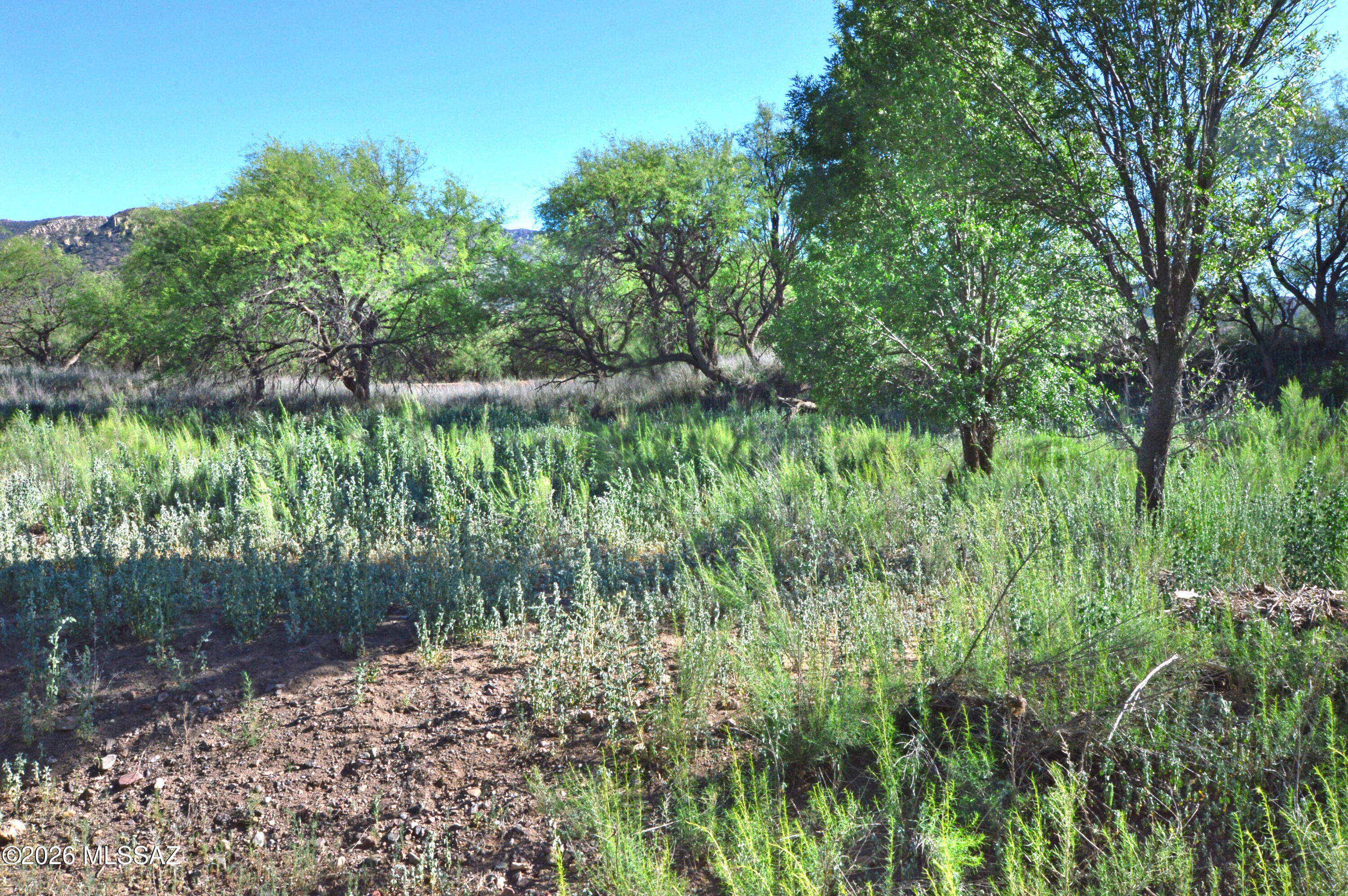 Redrock Acres - Land