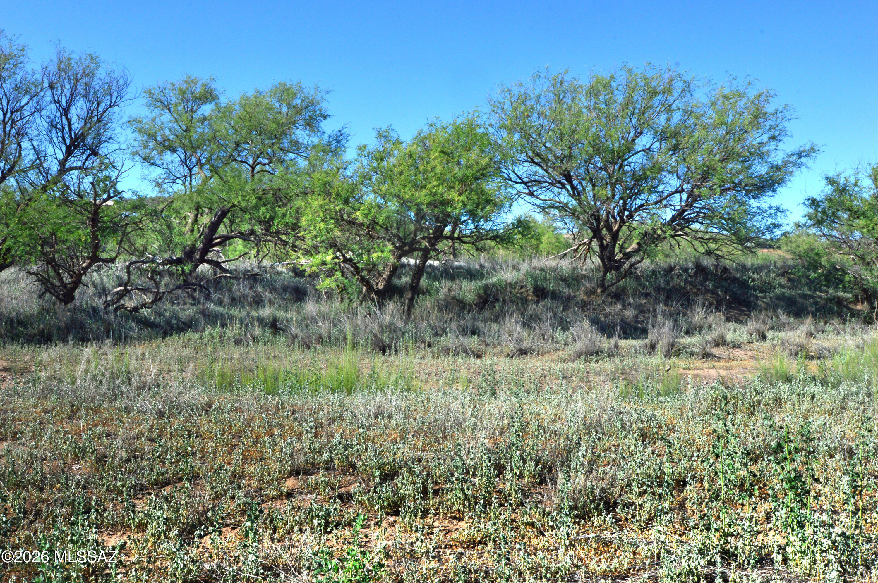 Redrock Acres - Land