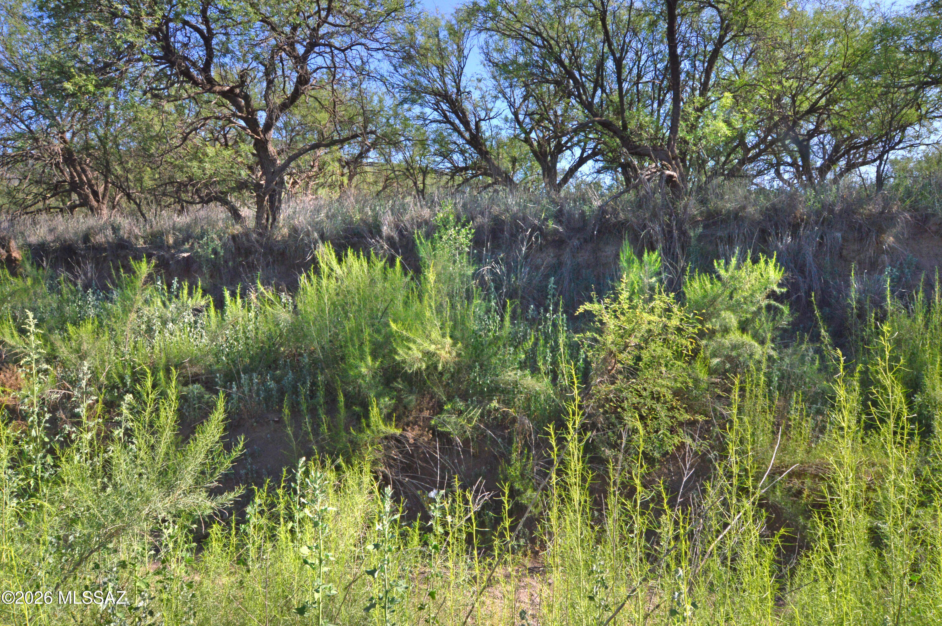 Redrock Acres - Land