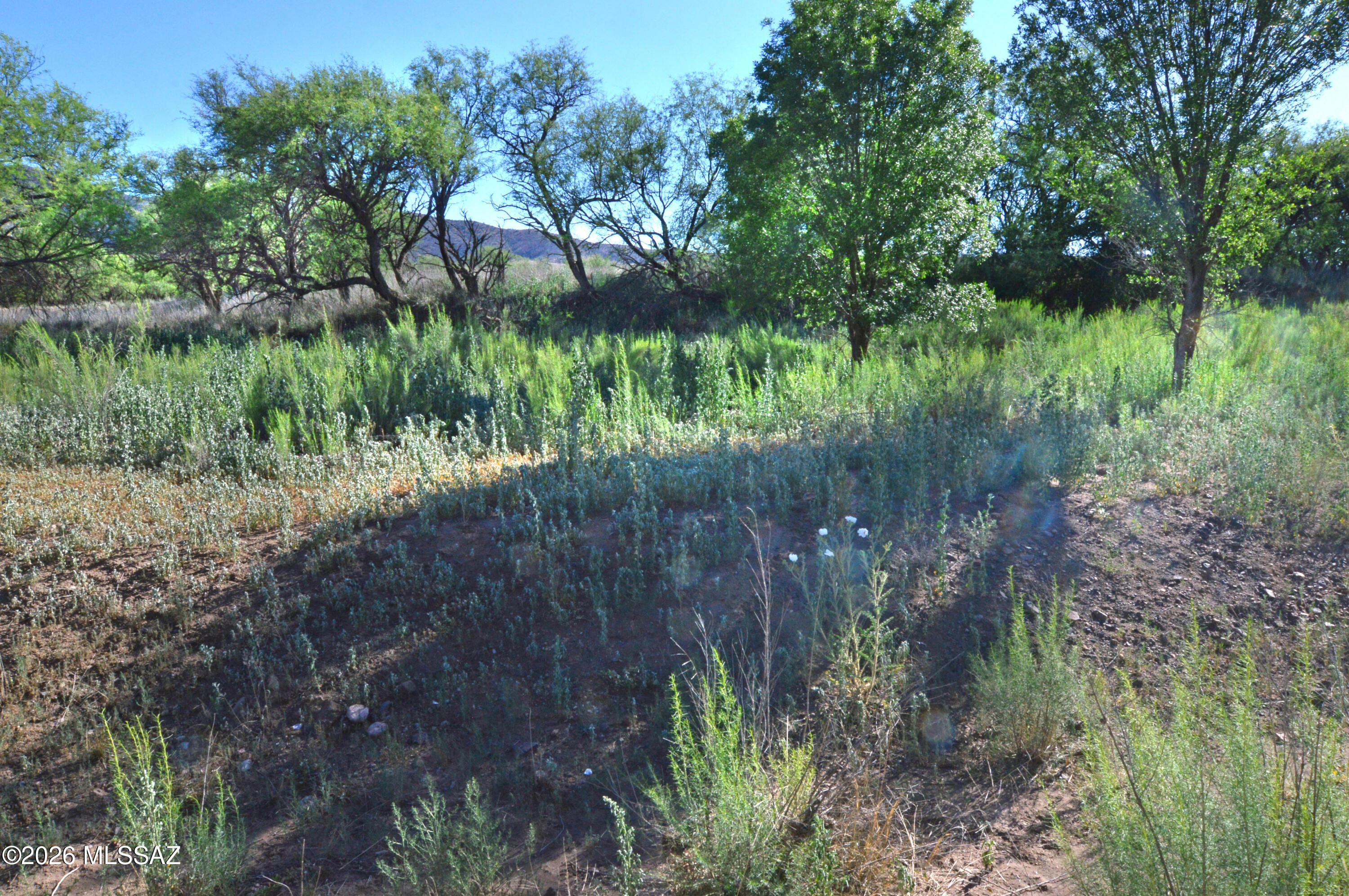 Redrock Acres - Land
