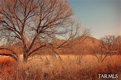 Redrock Acres - Land