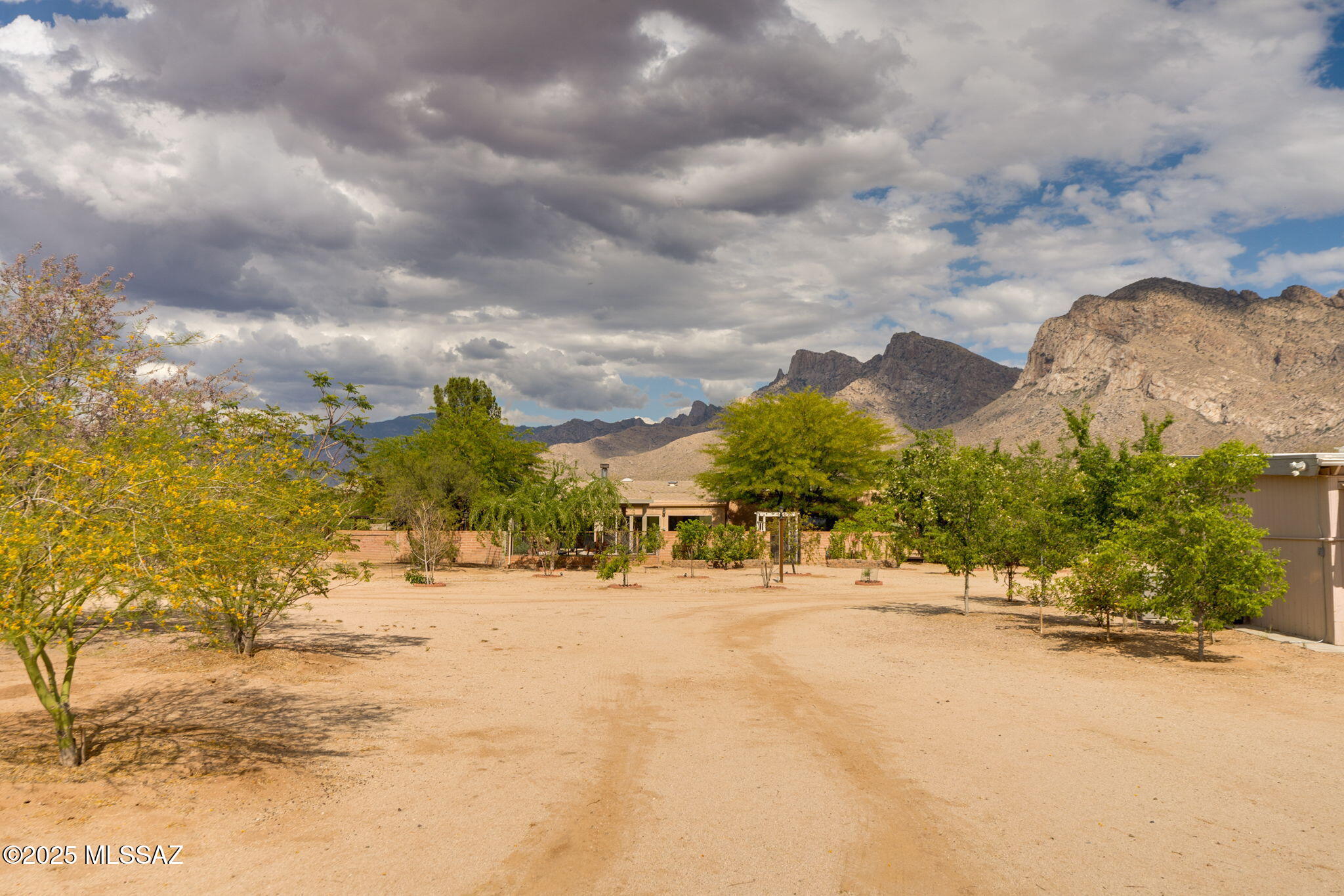 Linda Vista Citrus Tracts - Residential
