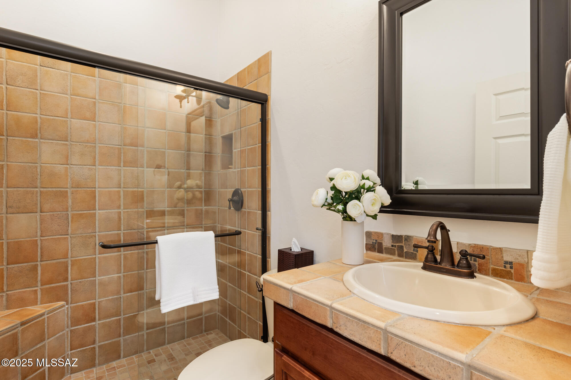 Rancho Vistoso Nghbr 11 - Residential