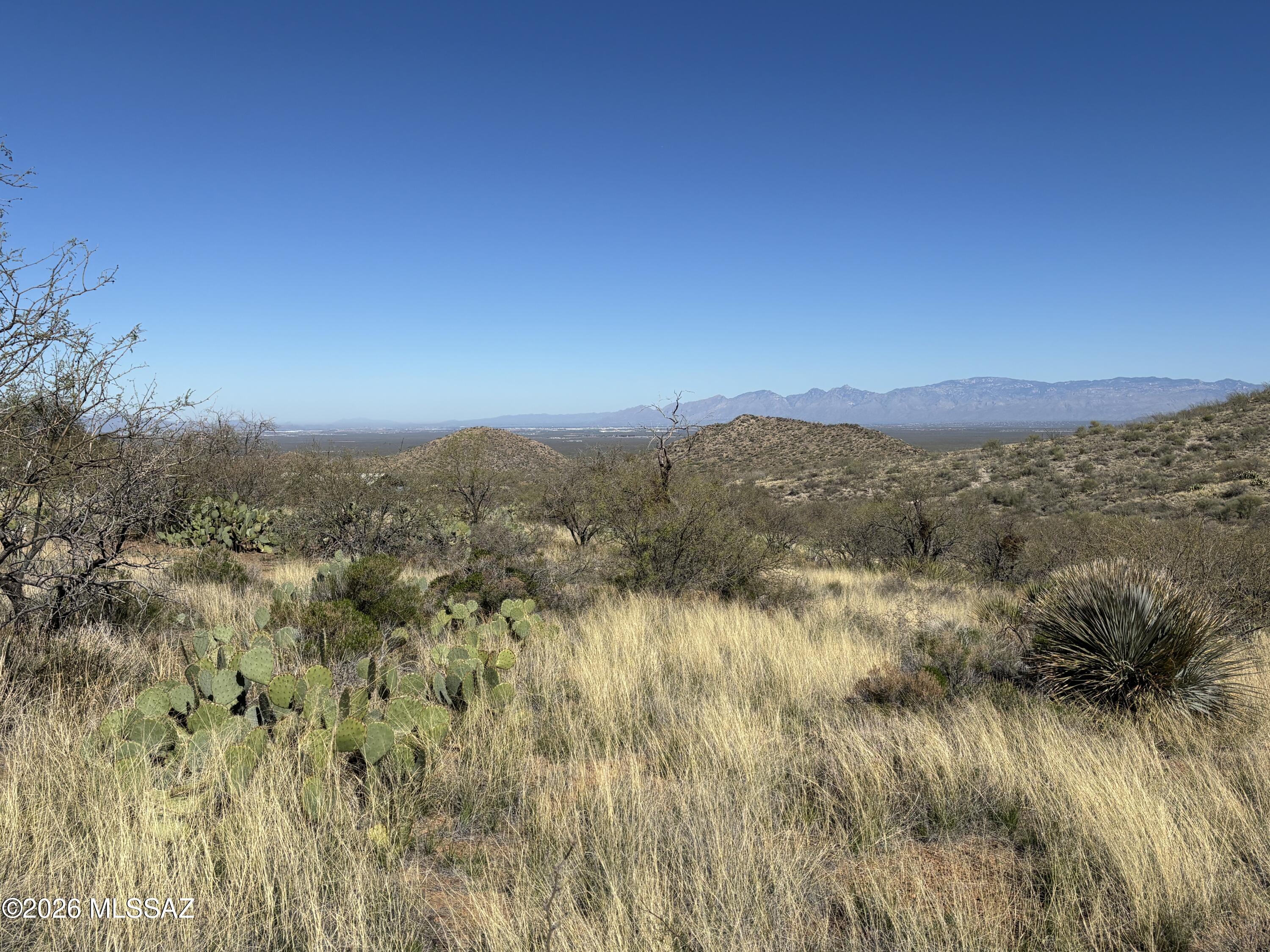 17925 S Via El Caballo Prieto 31