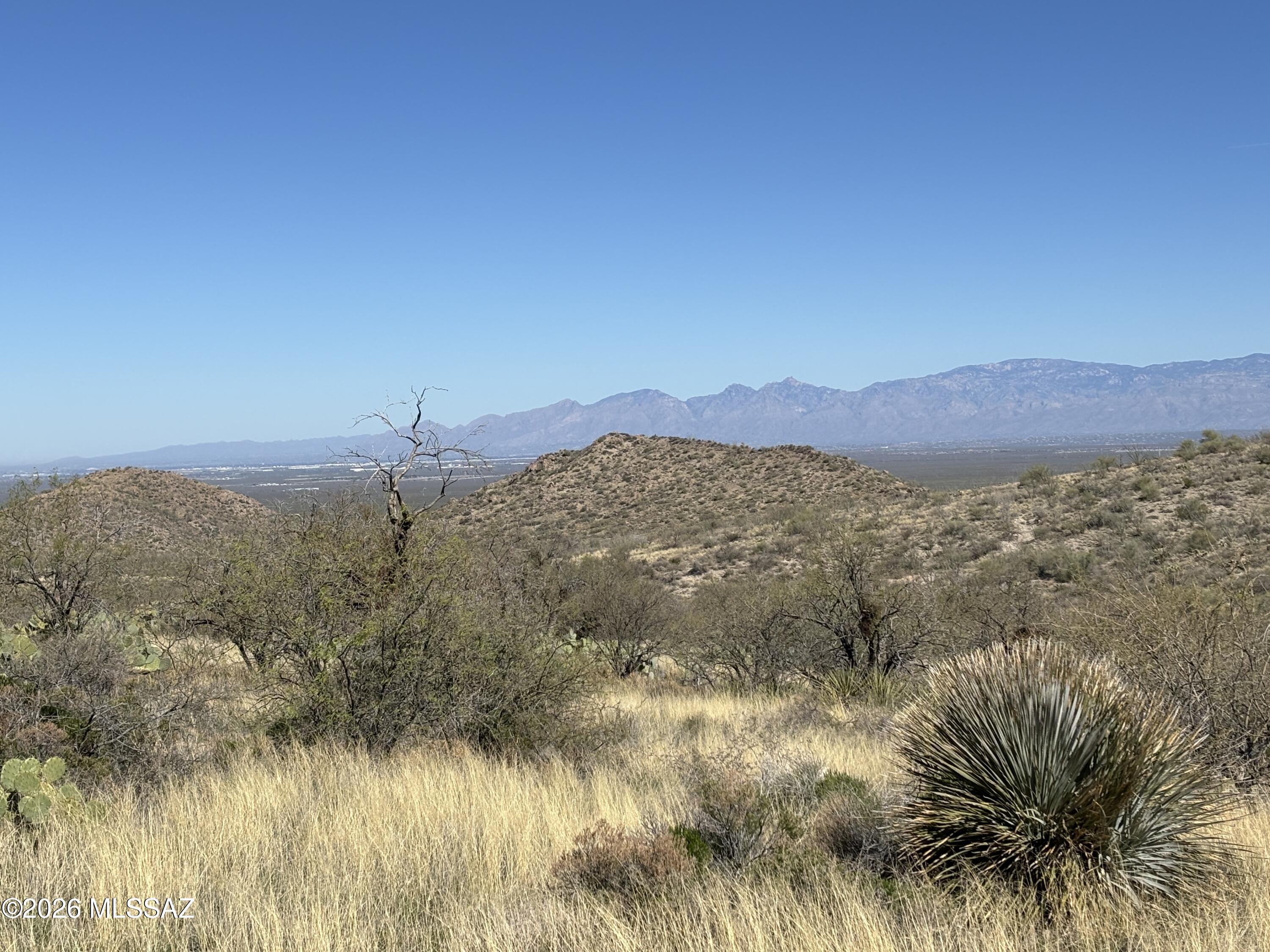 17925 S Via El Caballo Prieto 31