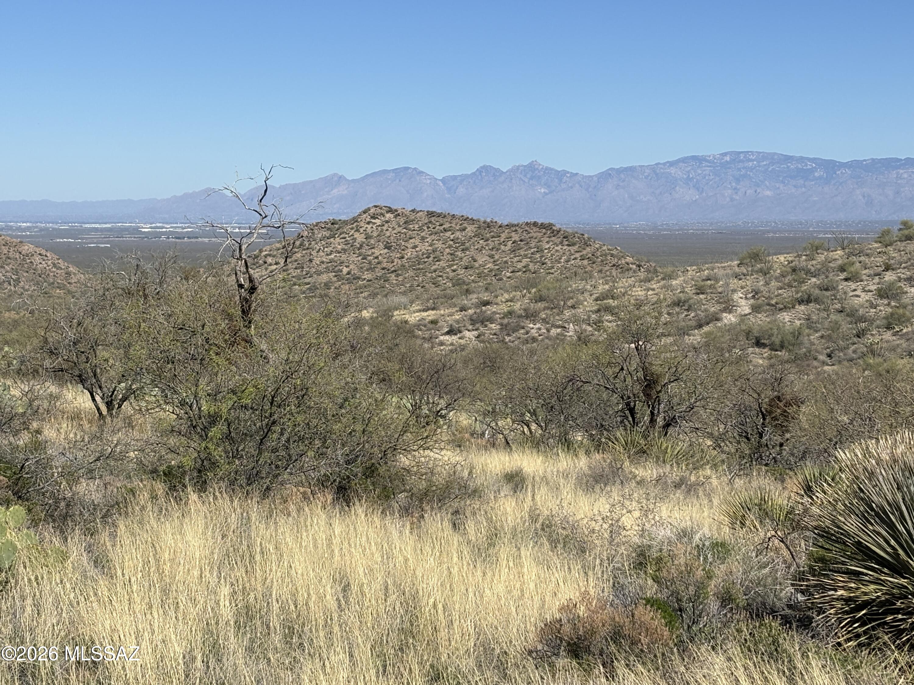 17925 S Via El Caballo Prieto 31