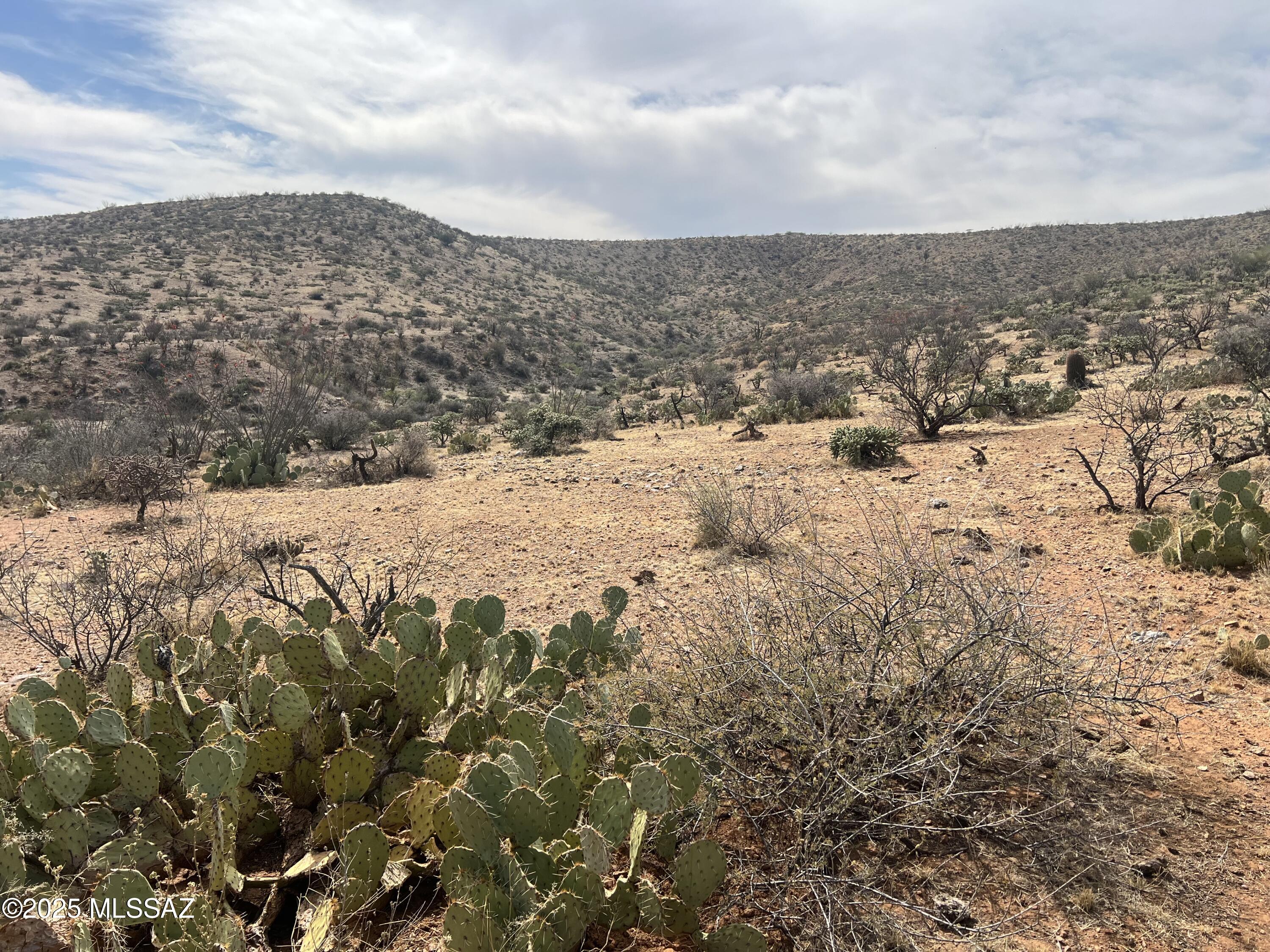 12 acres S Golder Dam Road