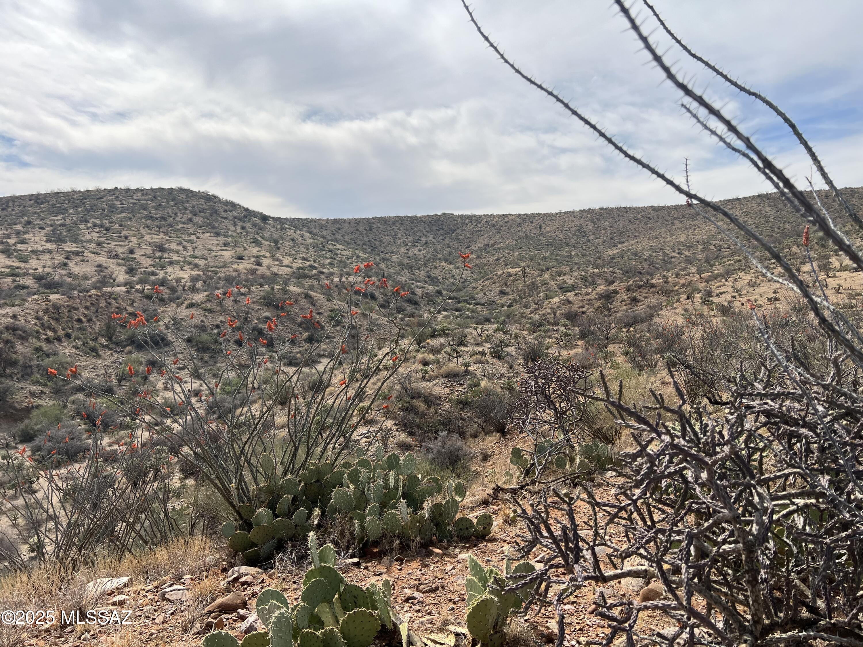 12 acres S Golder Dam Road