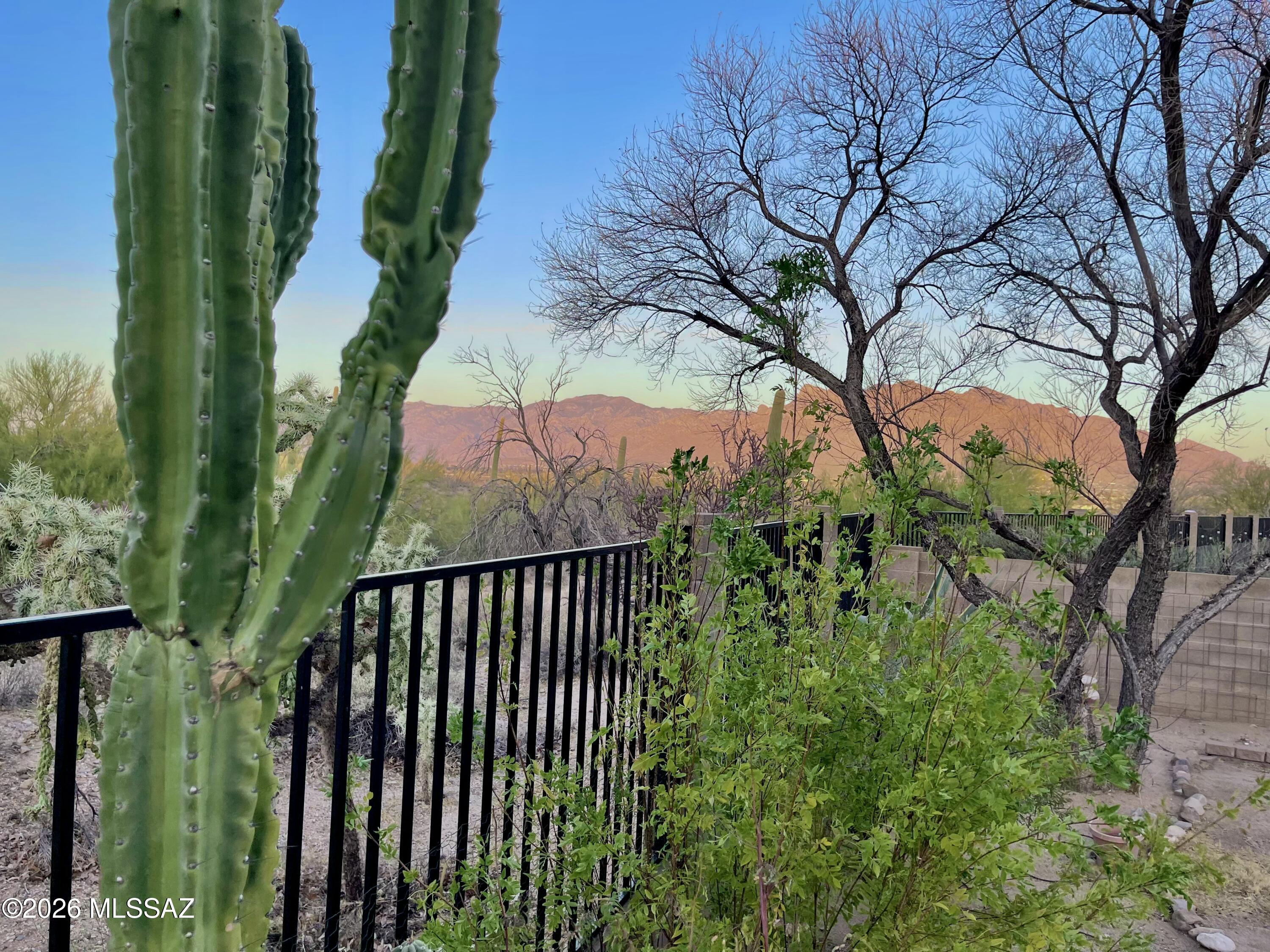 2572 W Bluffs Peak Court