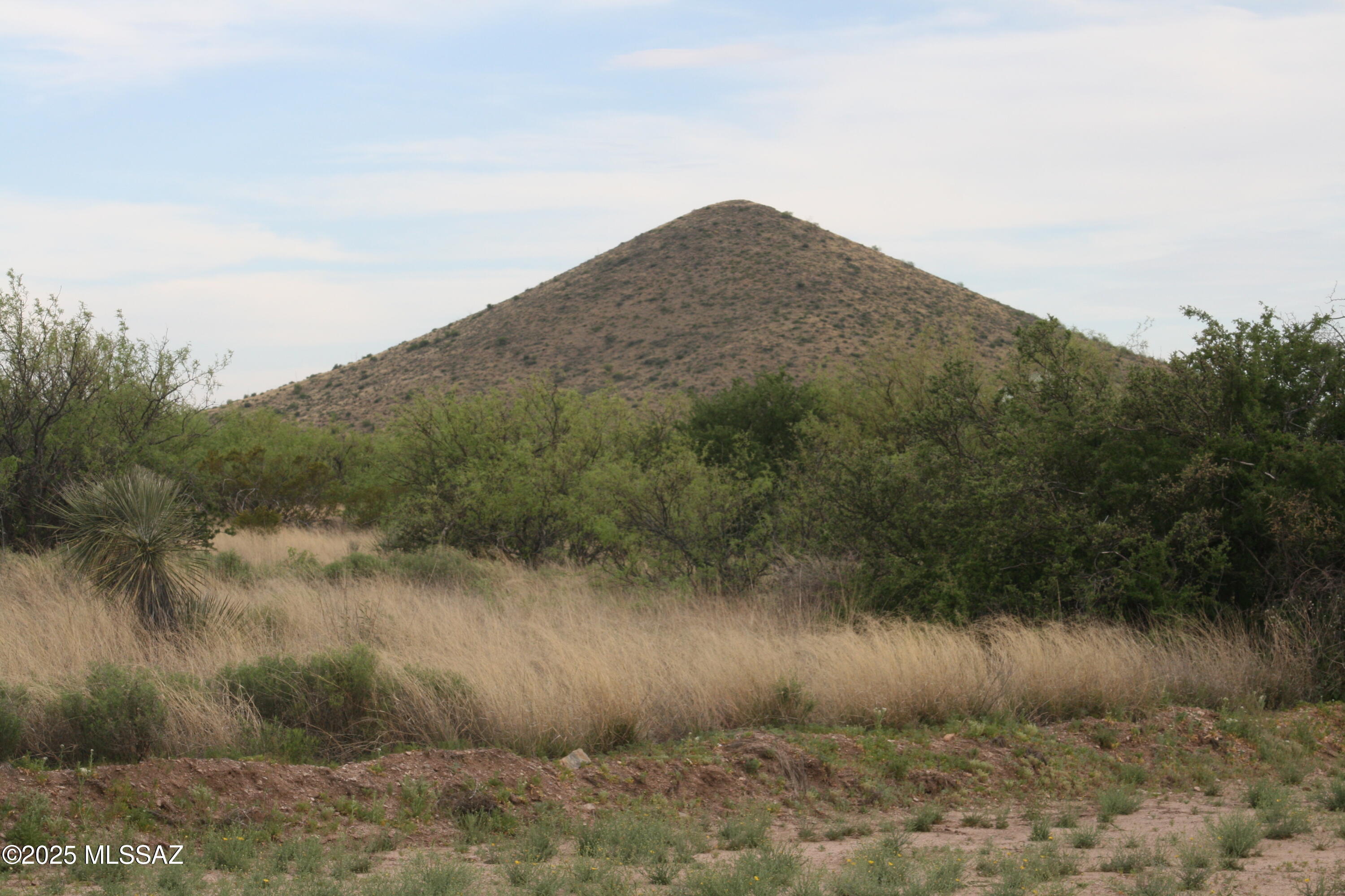 Dragoon Mountain Ranch - Land