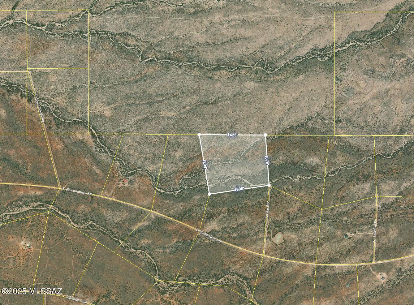 Dragoon Mountain Ranch - Land