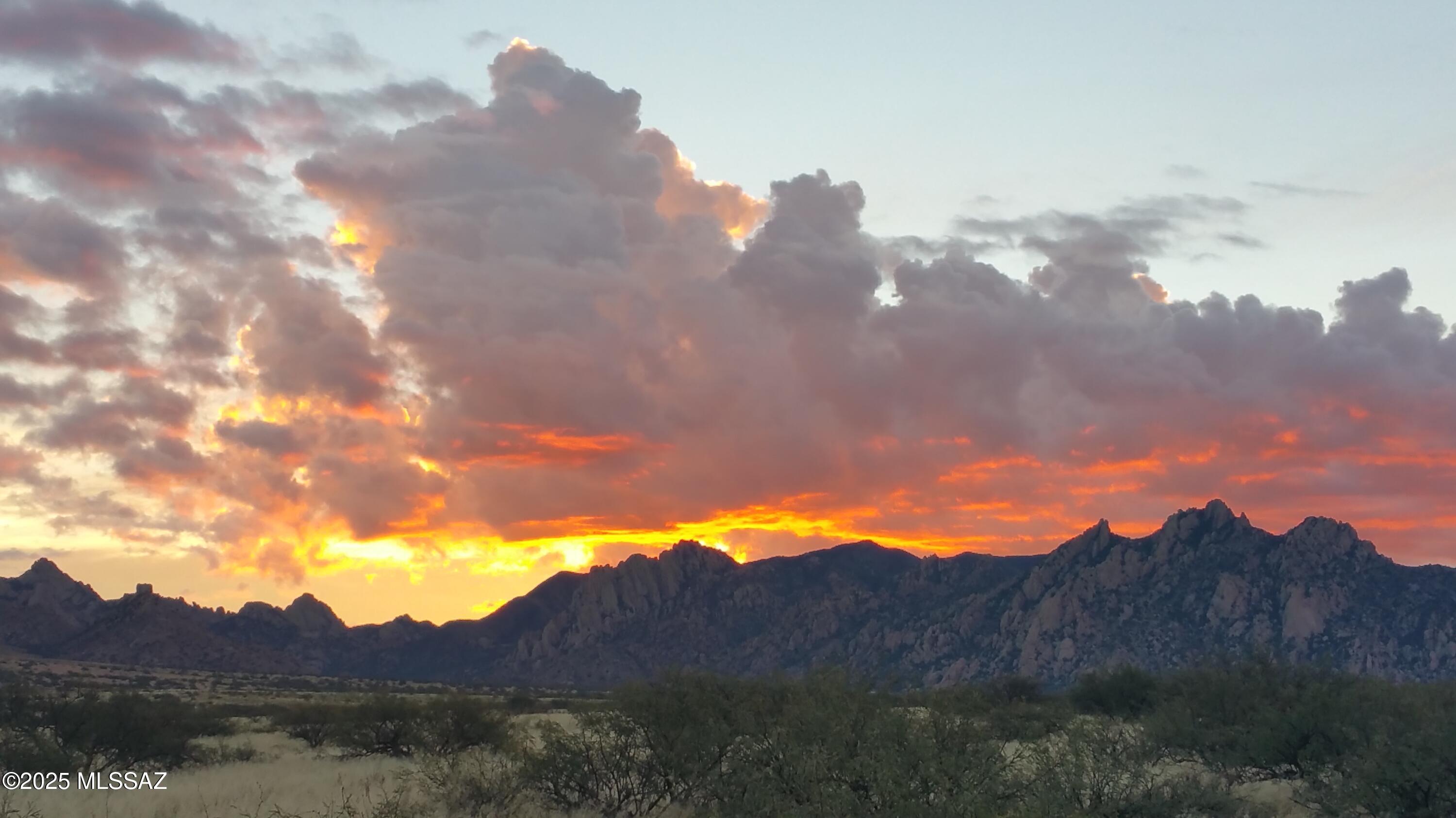 Dragoon Mountain Ranch - Land