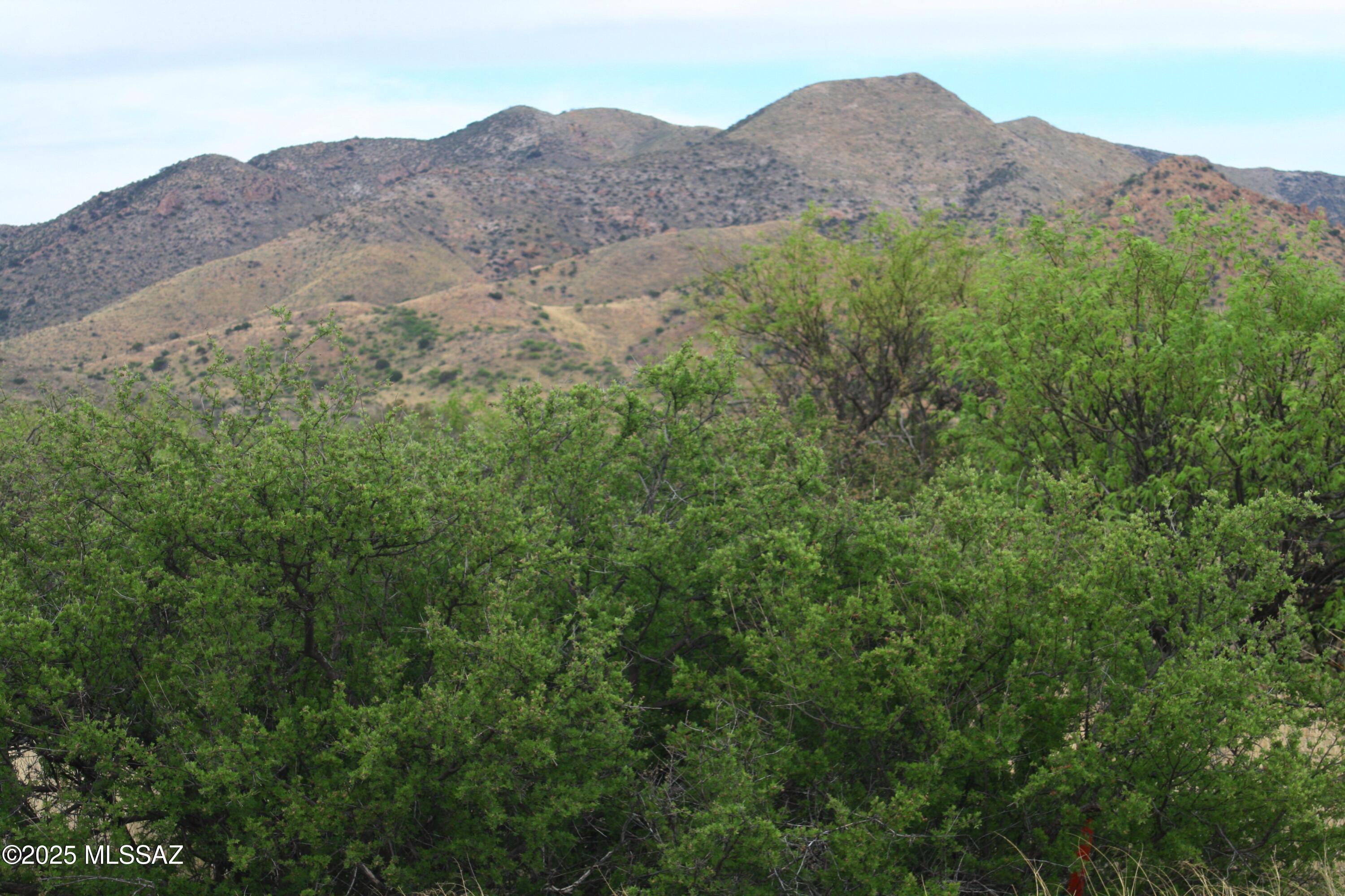 Dragoon Mountain Ranch - Land