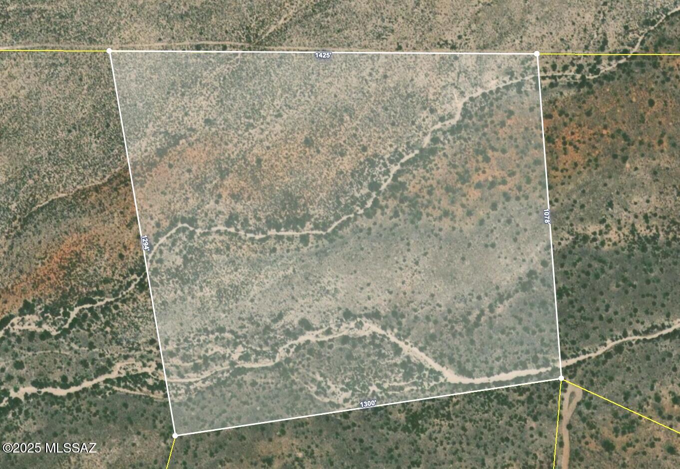 Dragoon Mountain Ranch - Land