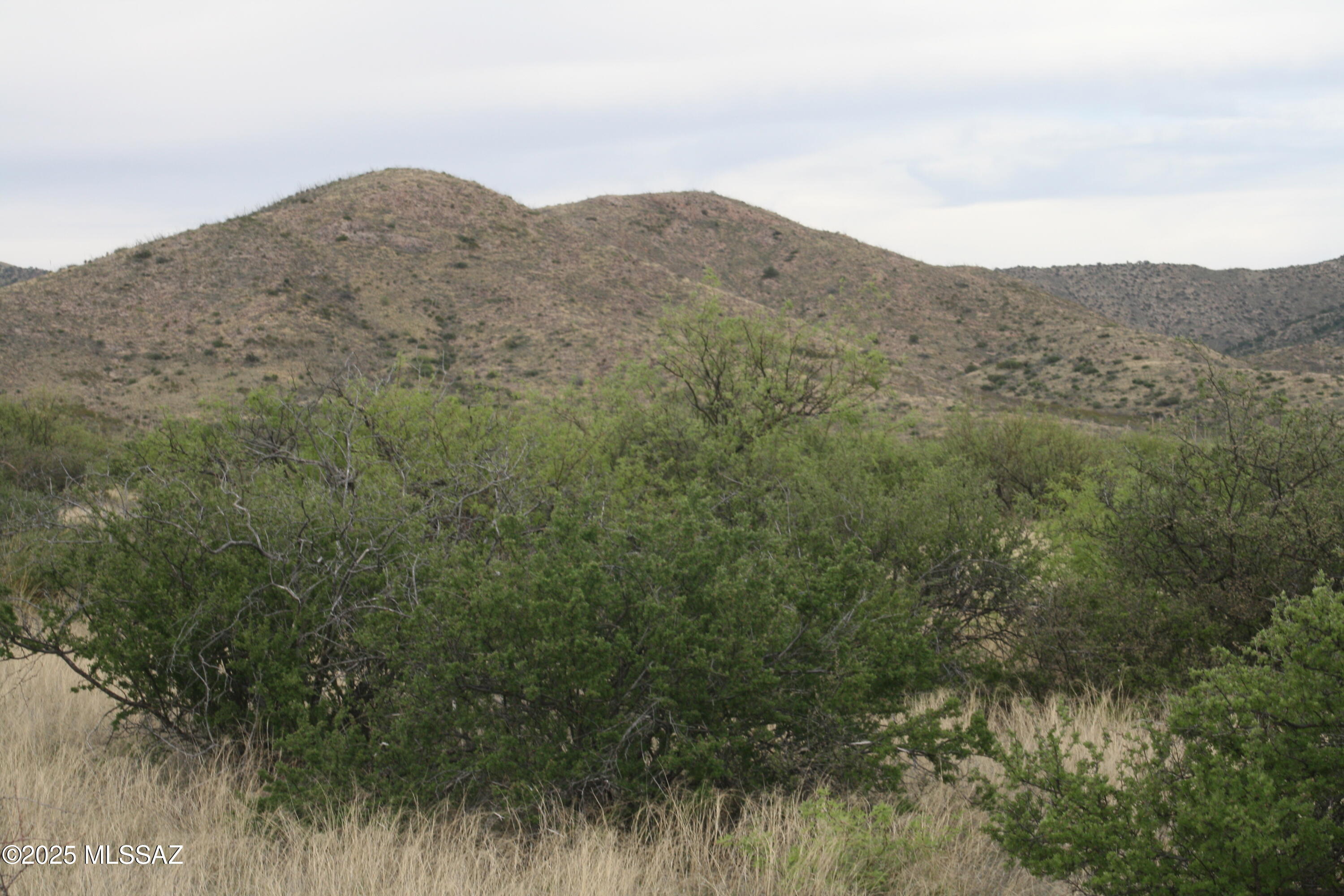 Dragoon Mountain Ranch - Land