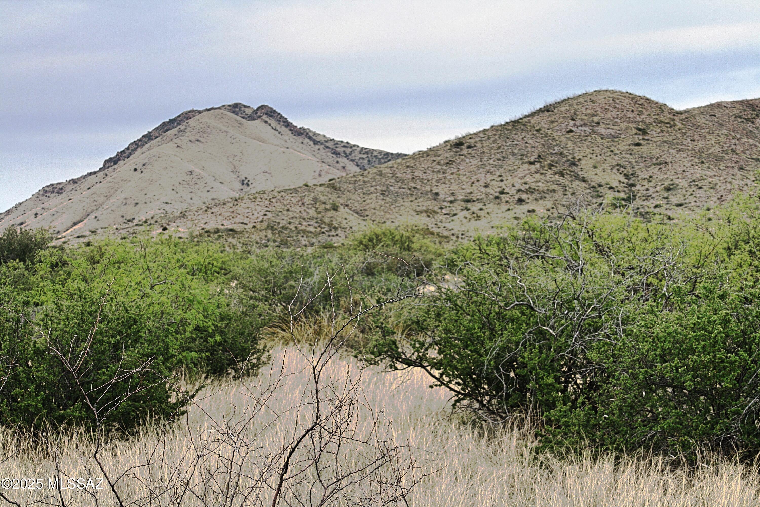 Dragoon Mountain Ranch - Land