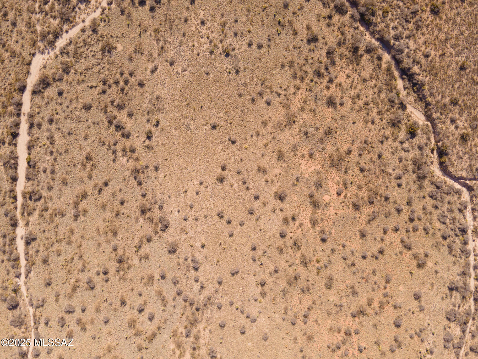 Dragoon Mountain Ranch - Land