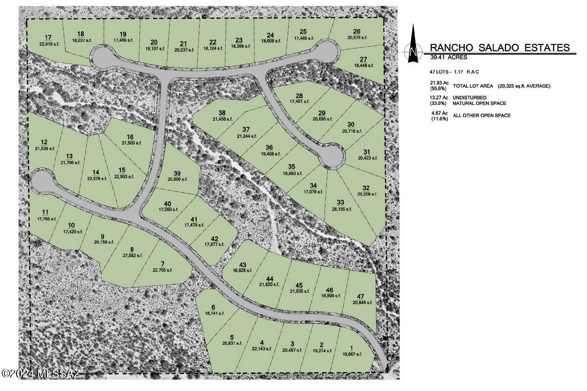 47 Lots Off Colossal Cave Rd 43