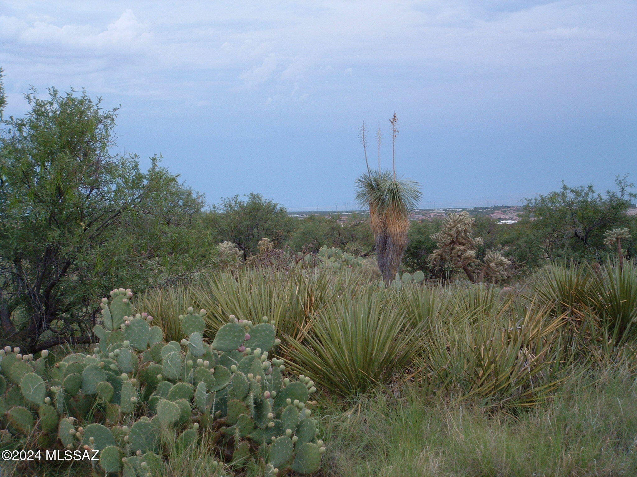 47 Lots Off Colossal Cave Rd 43