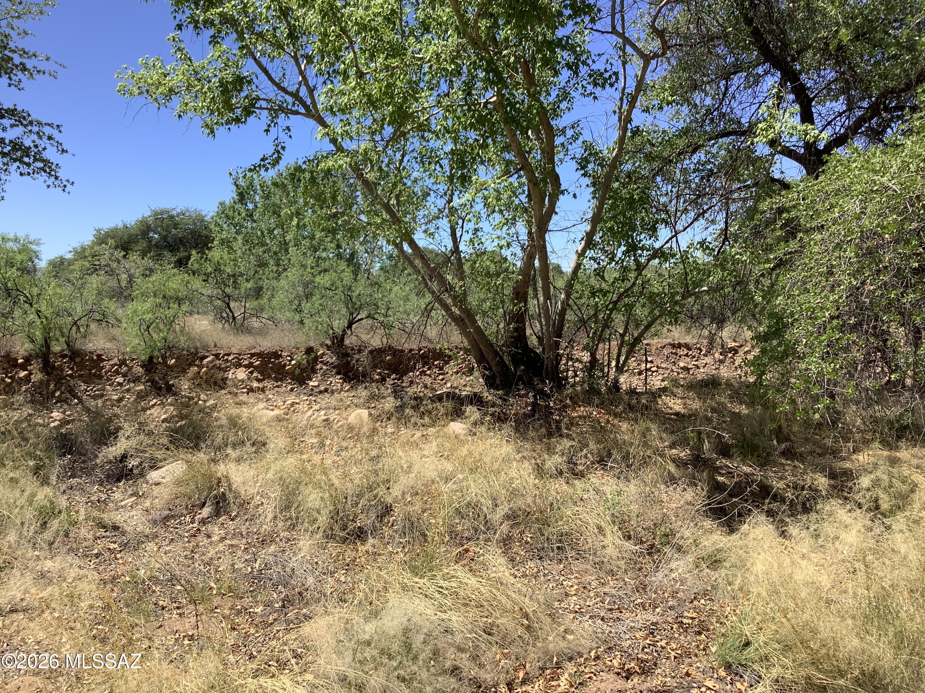 Turkey Creek Ranch - Residential