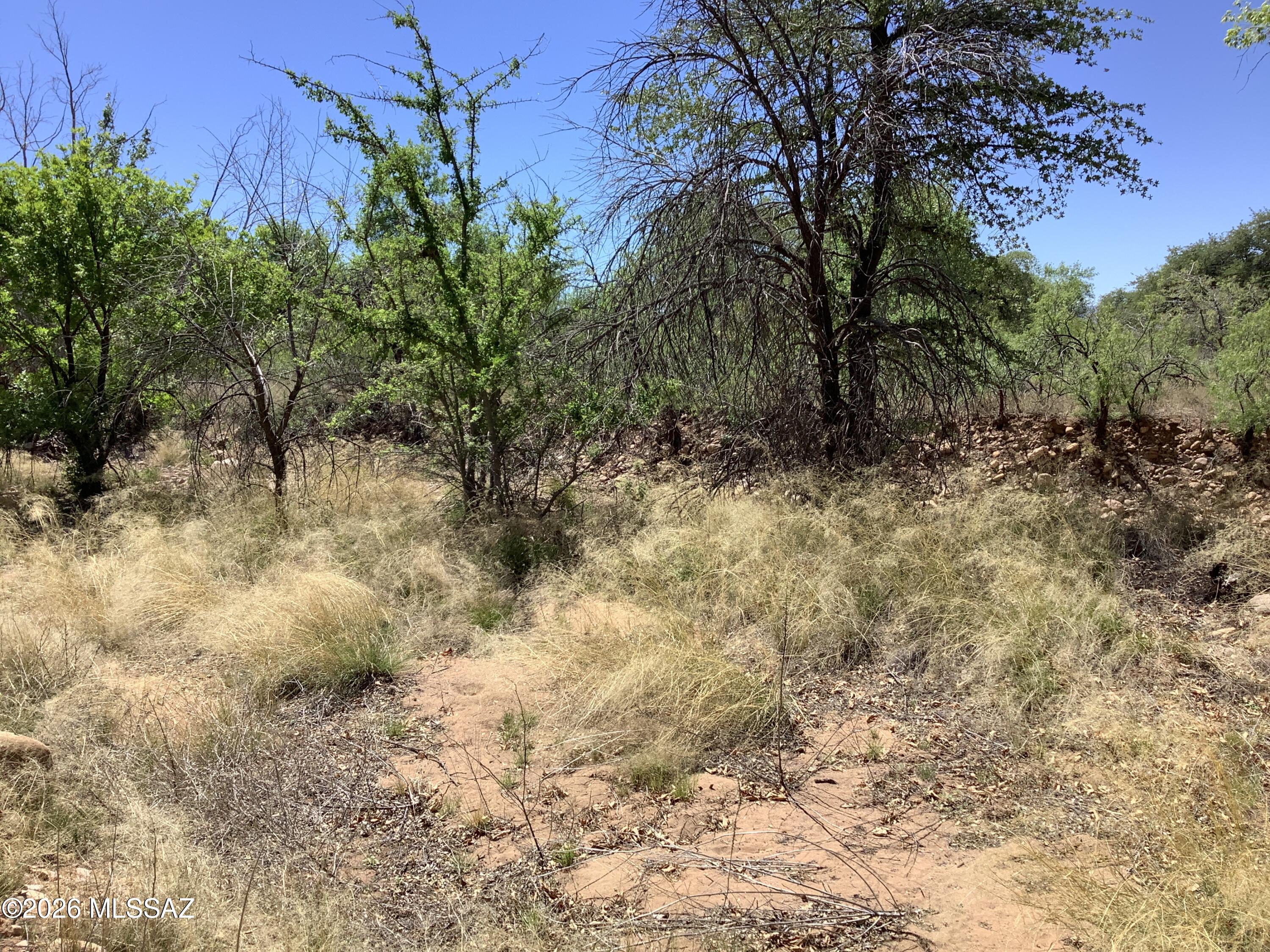 Turkey Creek Ranch - Residential