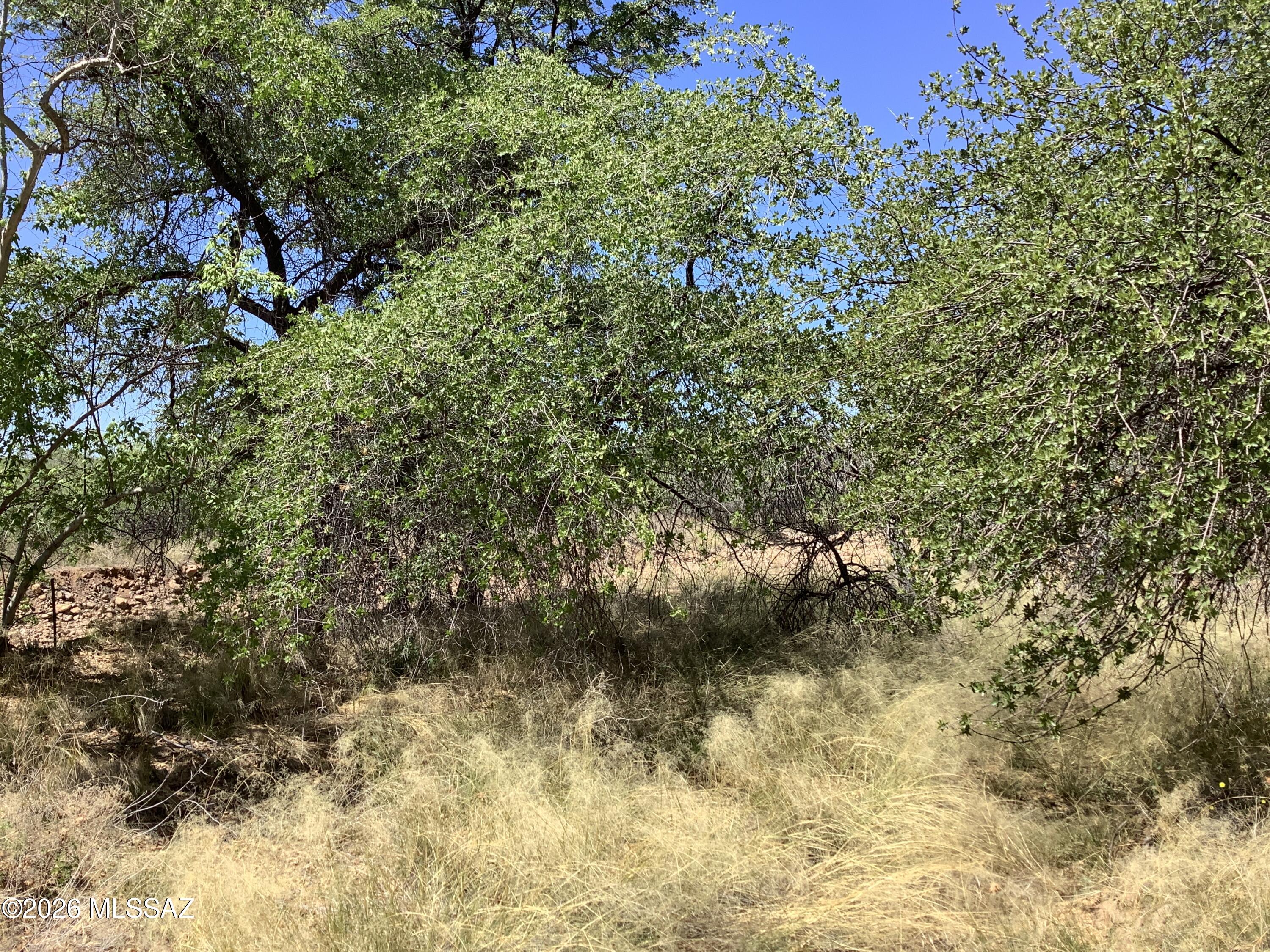 Turkey Creek Ranch - Residential